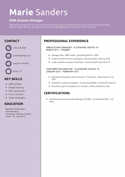 SMB Account Manager Resume Example
