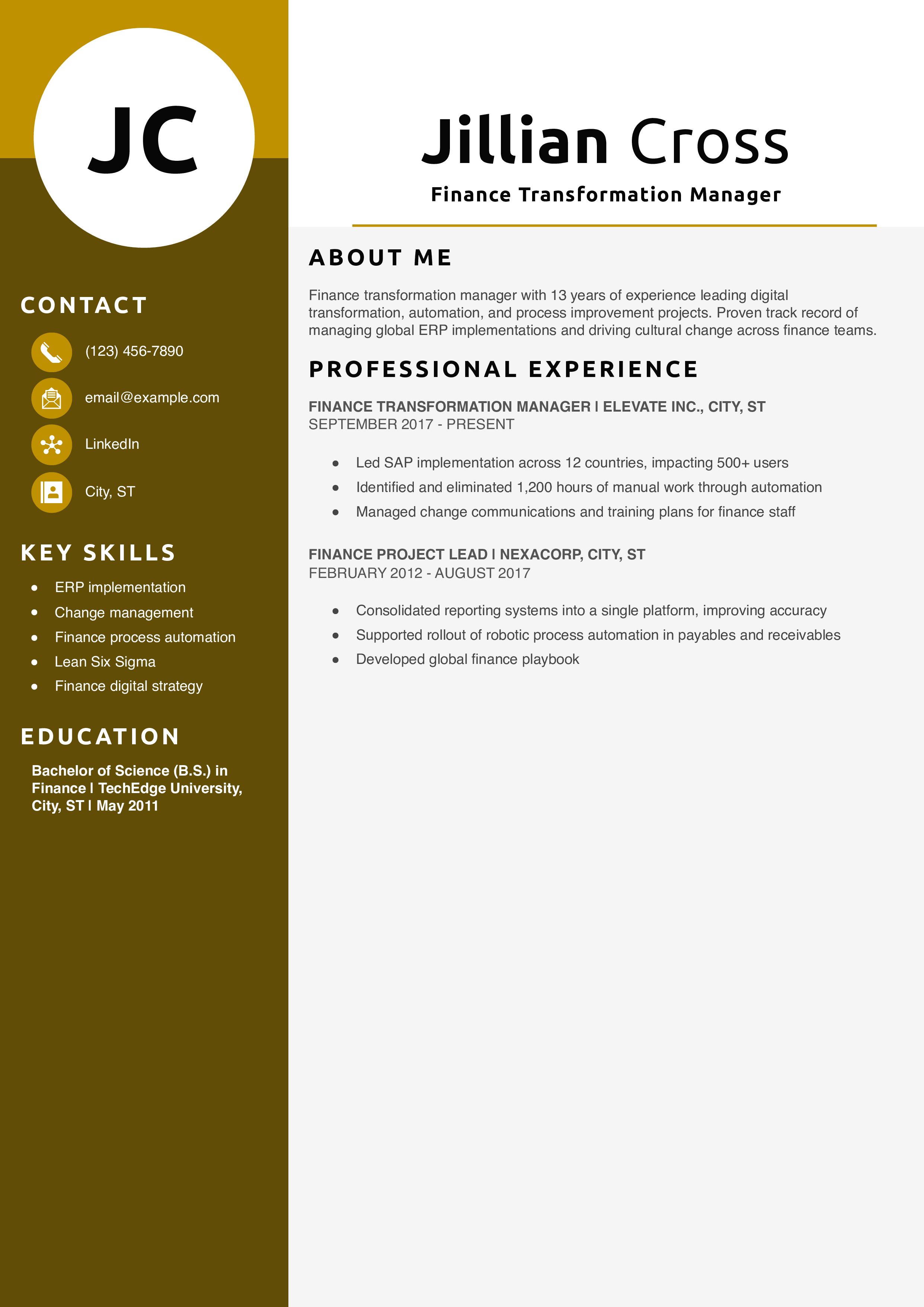 Finance Transformation Manager Resume Example