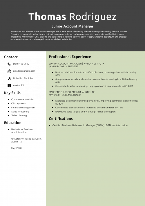 Junior Account Manager Resume Example