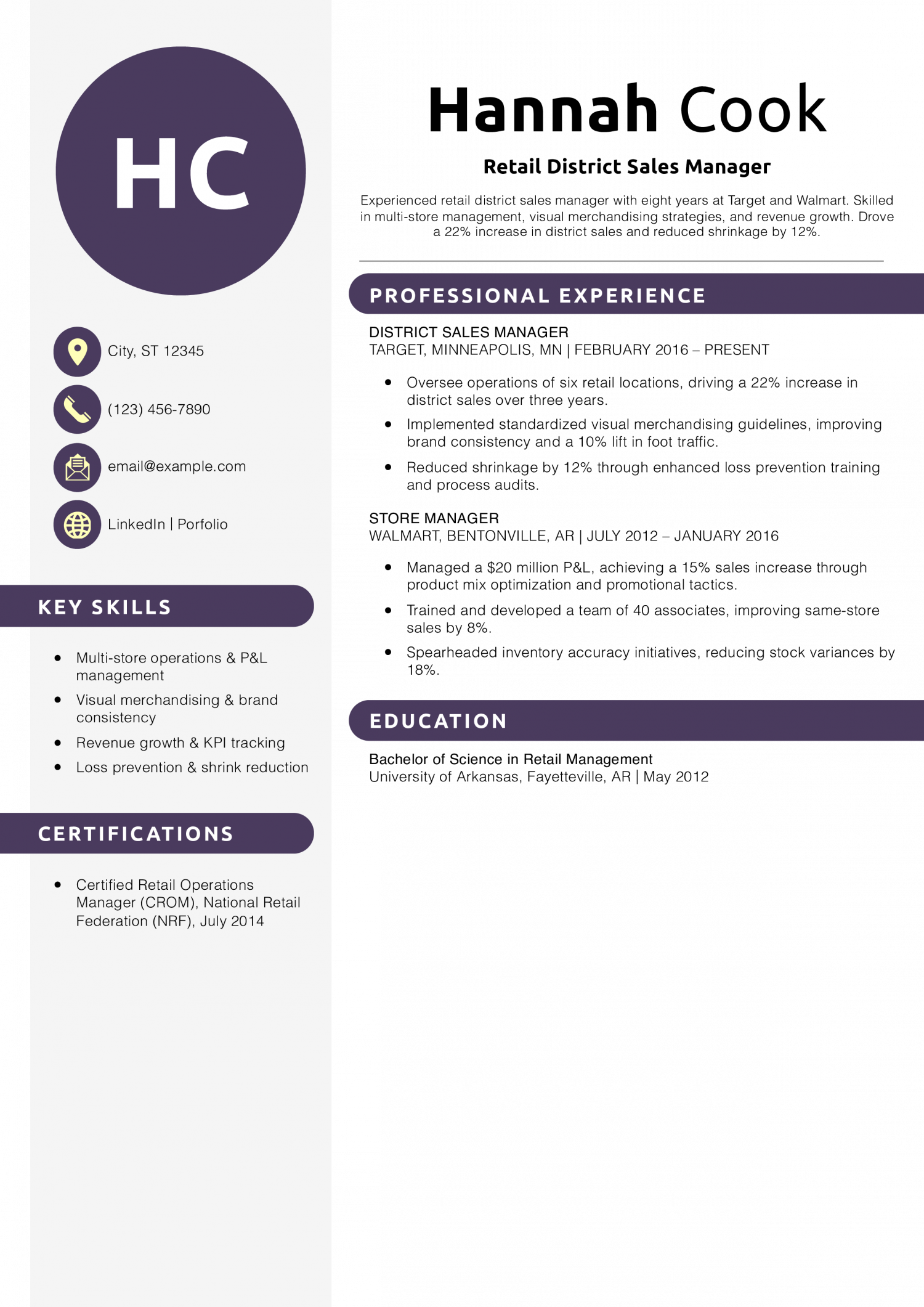 Retail District Sales Manager Resume Example