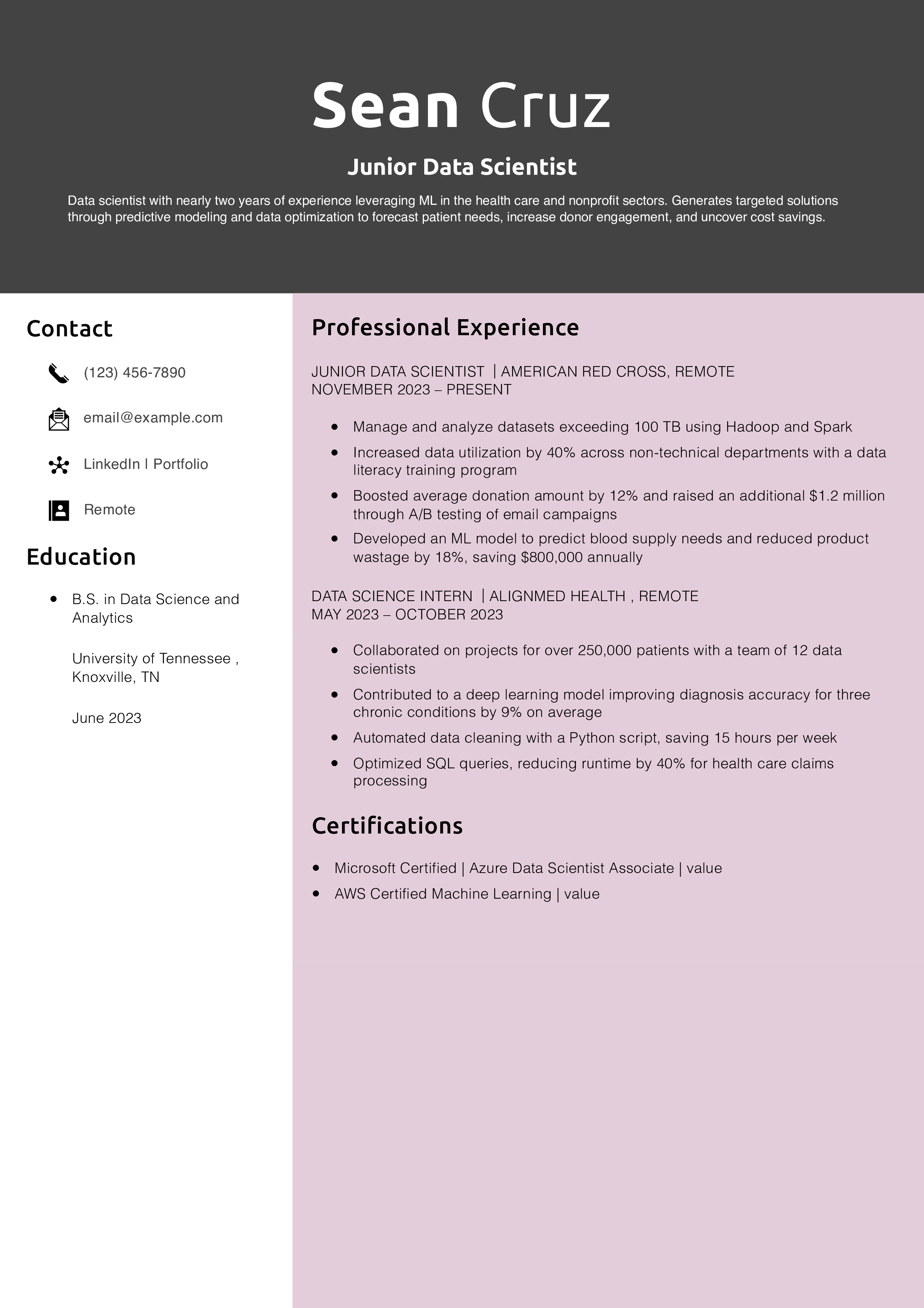 Junior Data Scientist Resume Example