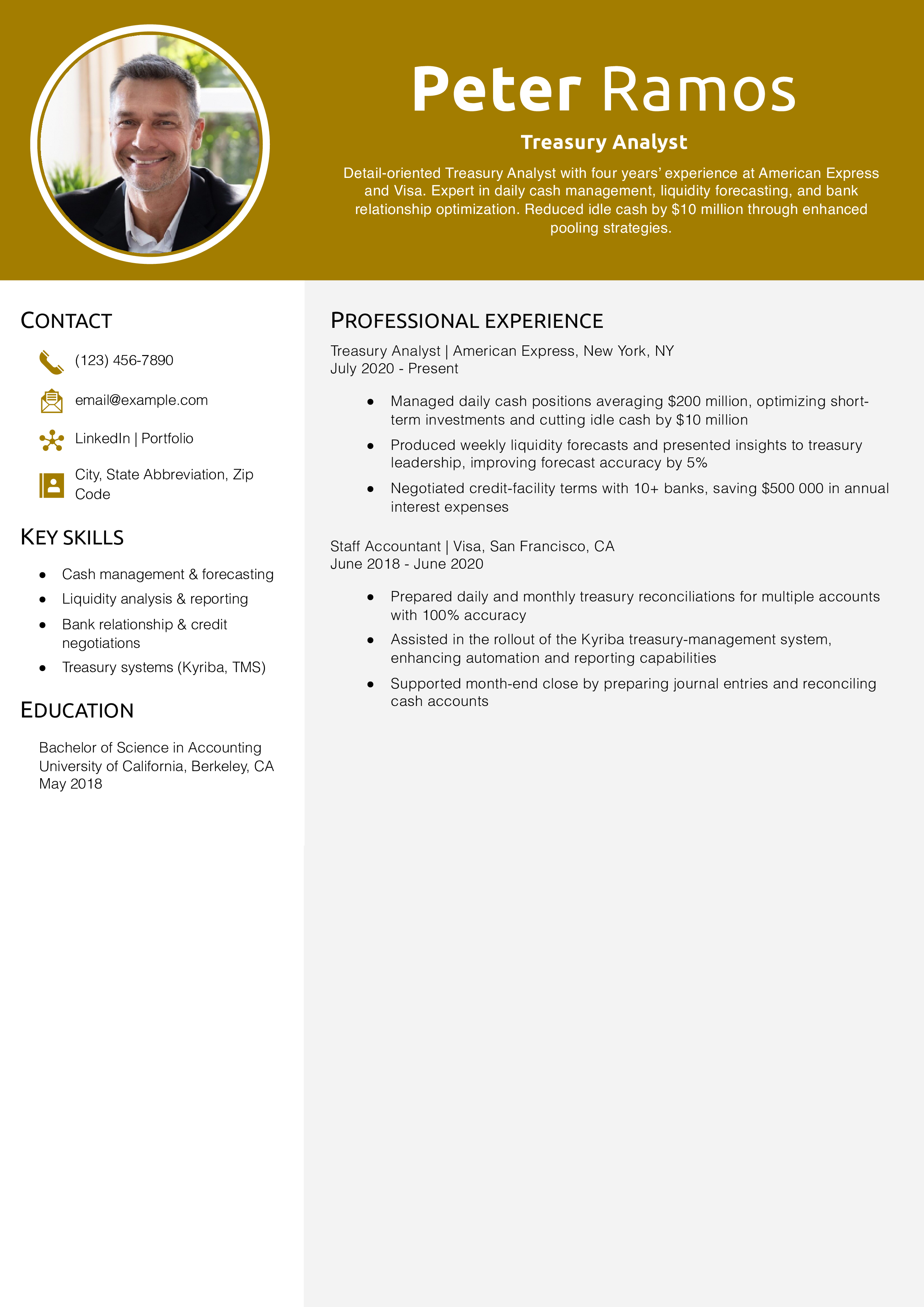 Treasury Analyst Resume Example