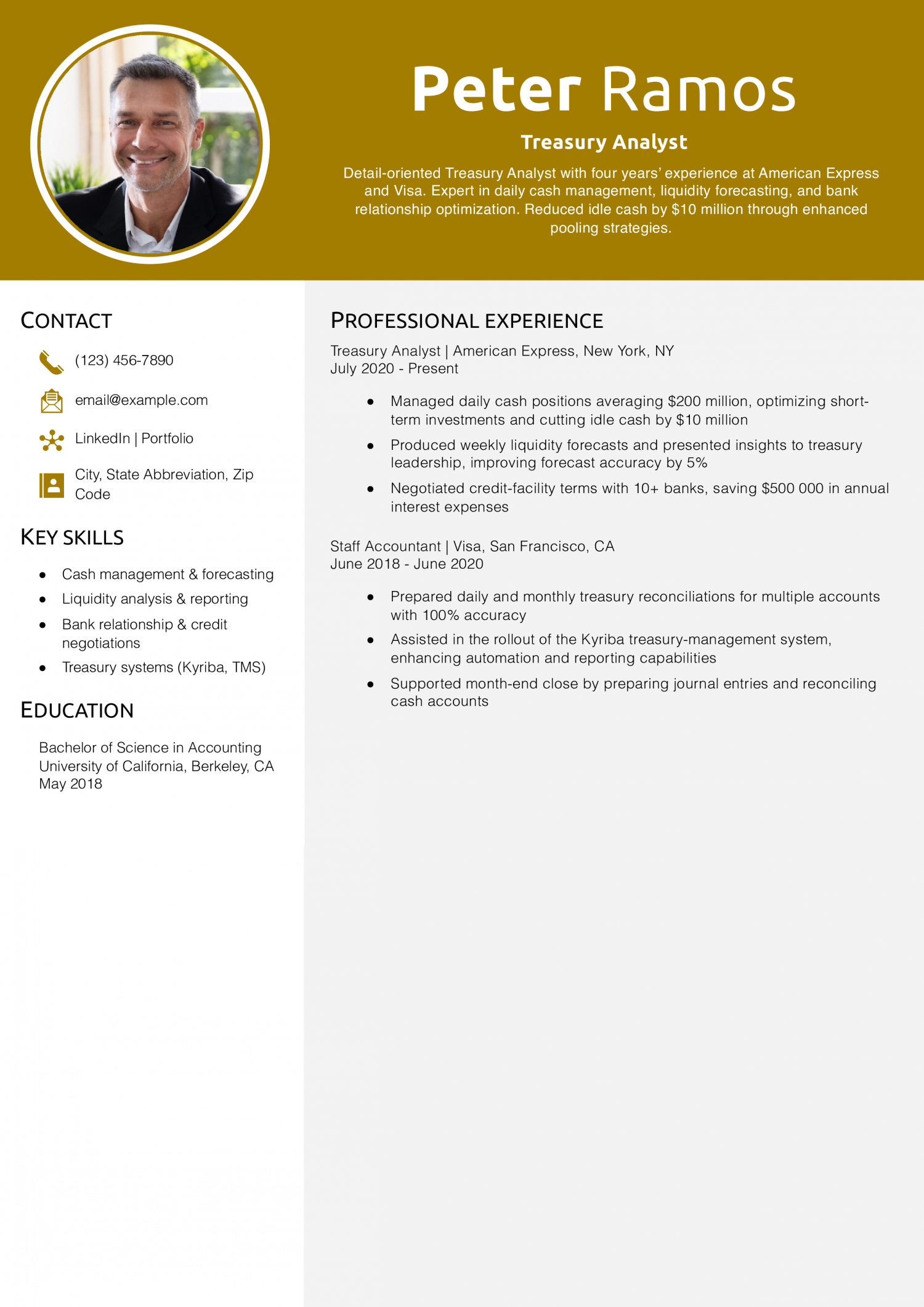 Treasury Analyst Resume Example