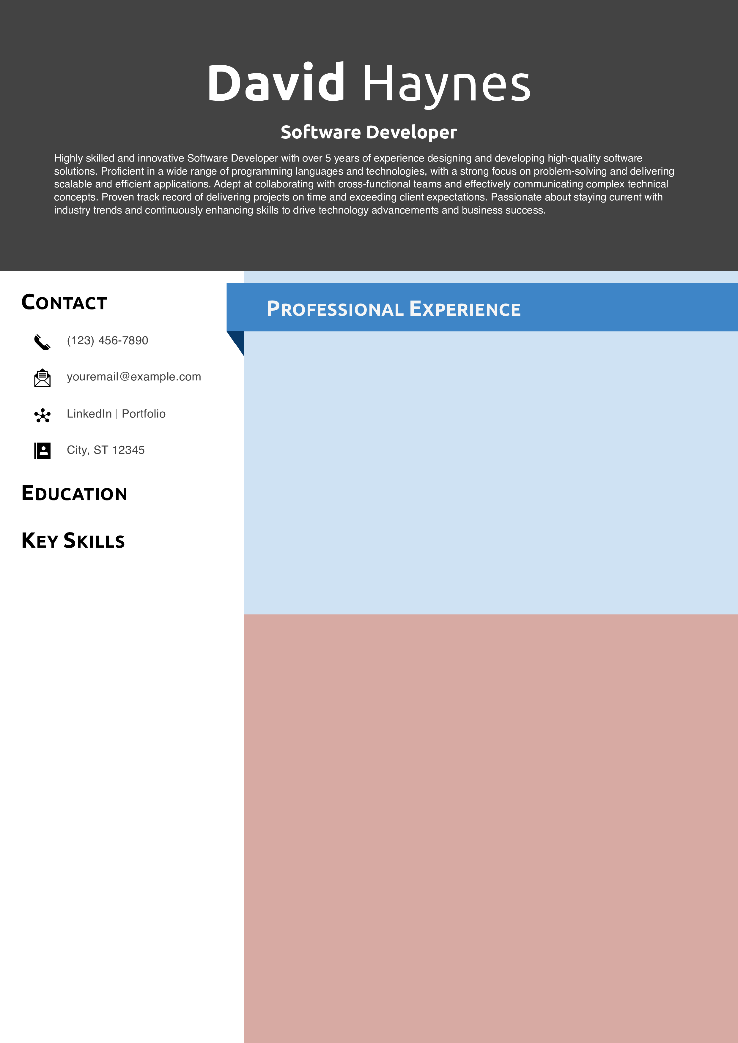 Travel Nurse Resume Example