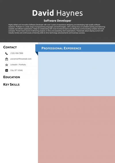 Travel Nurse Resume Example