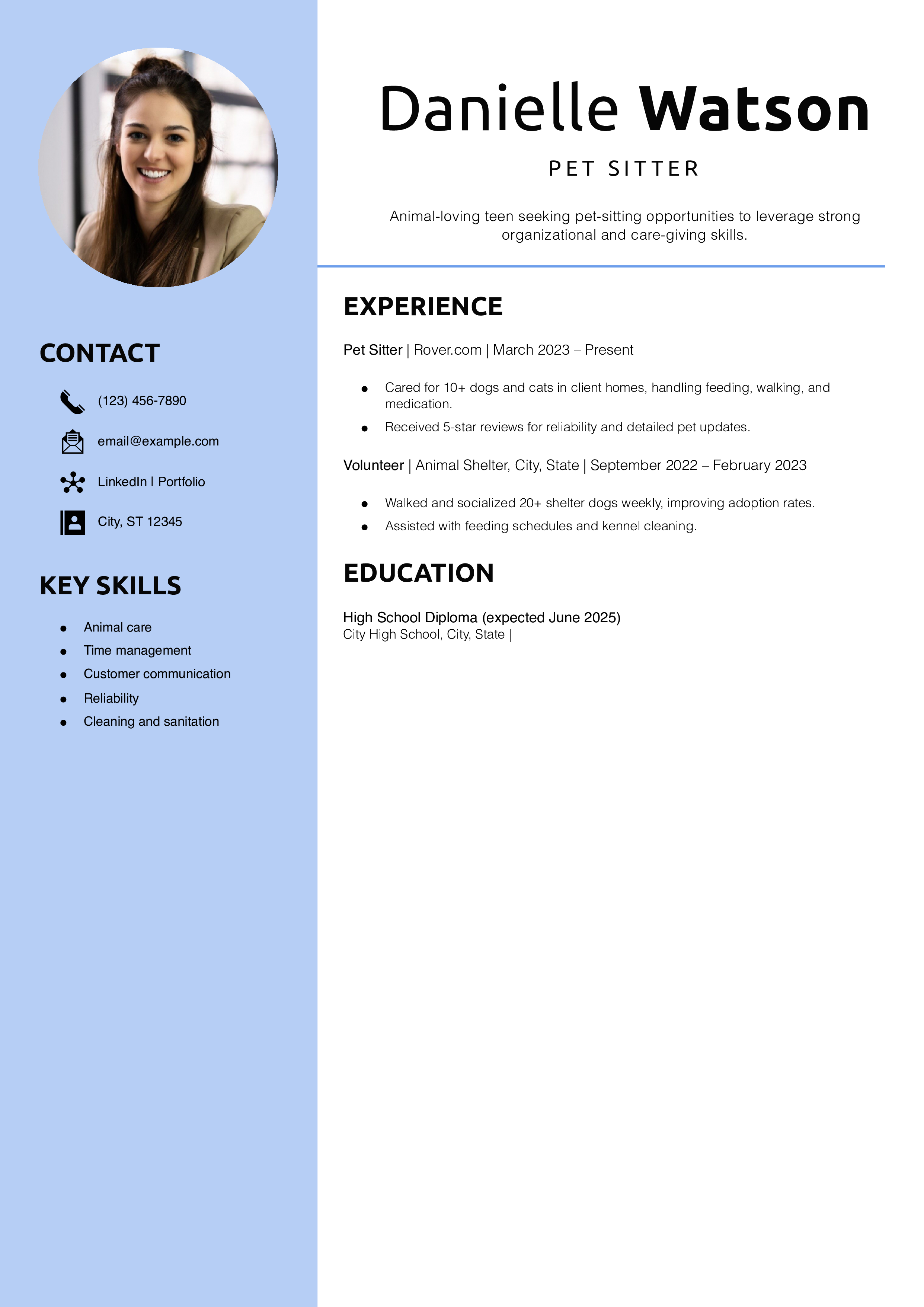 Pet Sitter Resume Example 