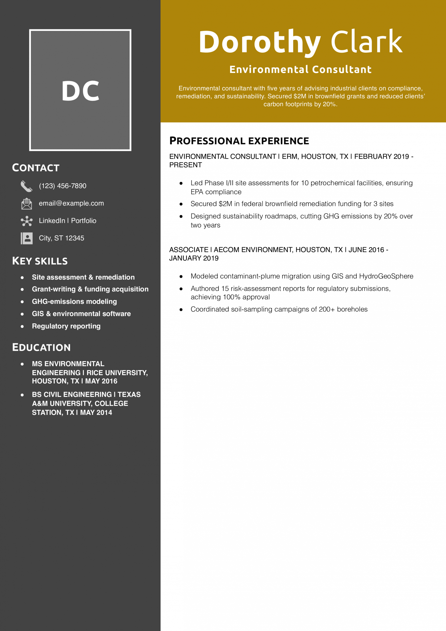 Environmental Consultant Resume Example