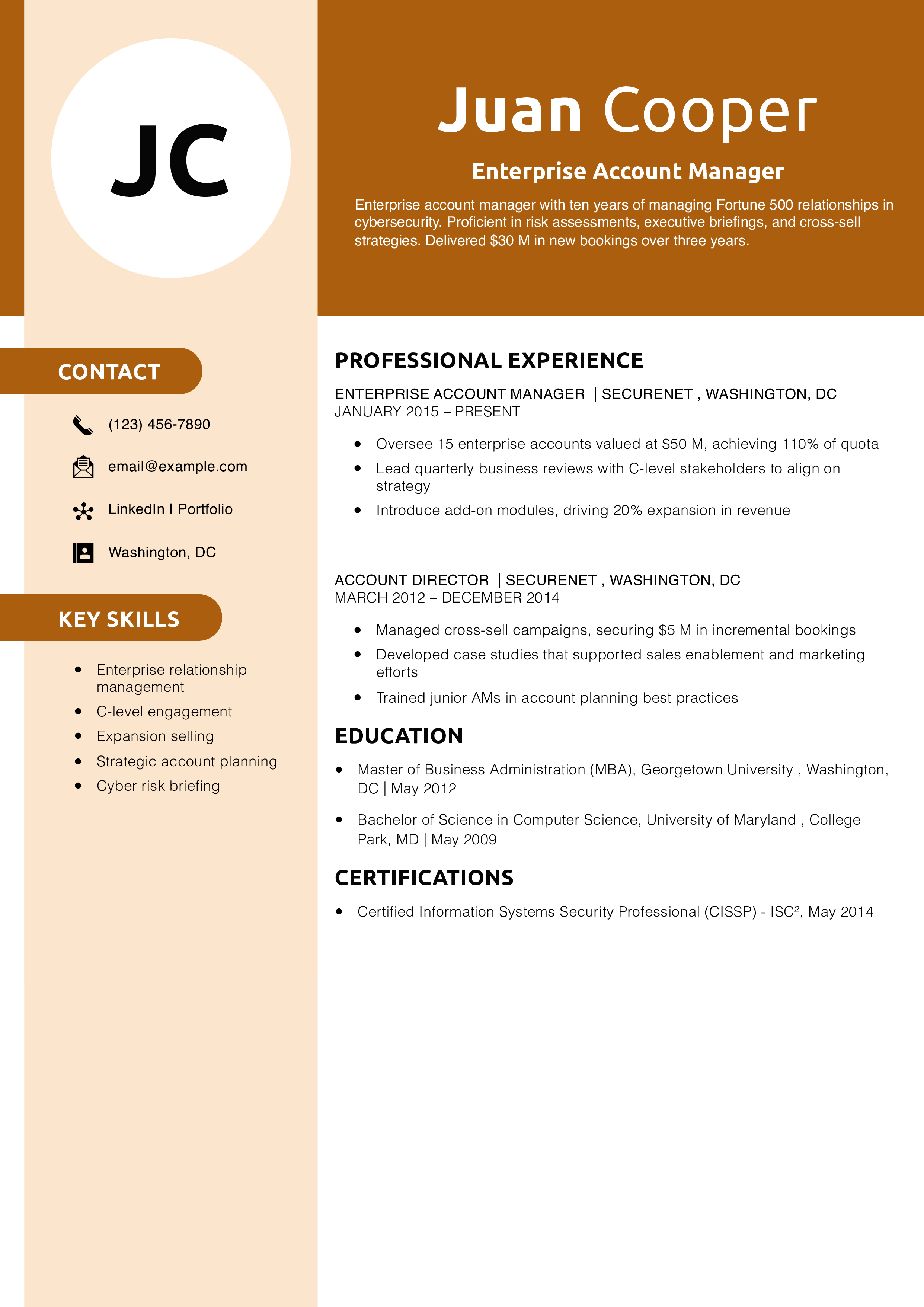 Enterprise Account Manager Resume Example