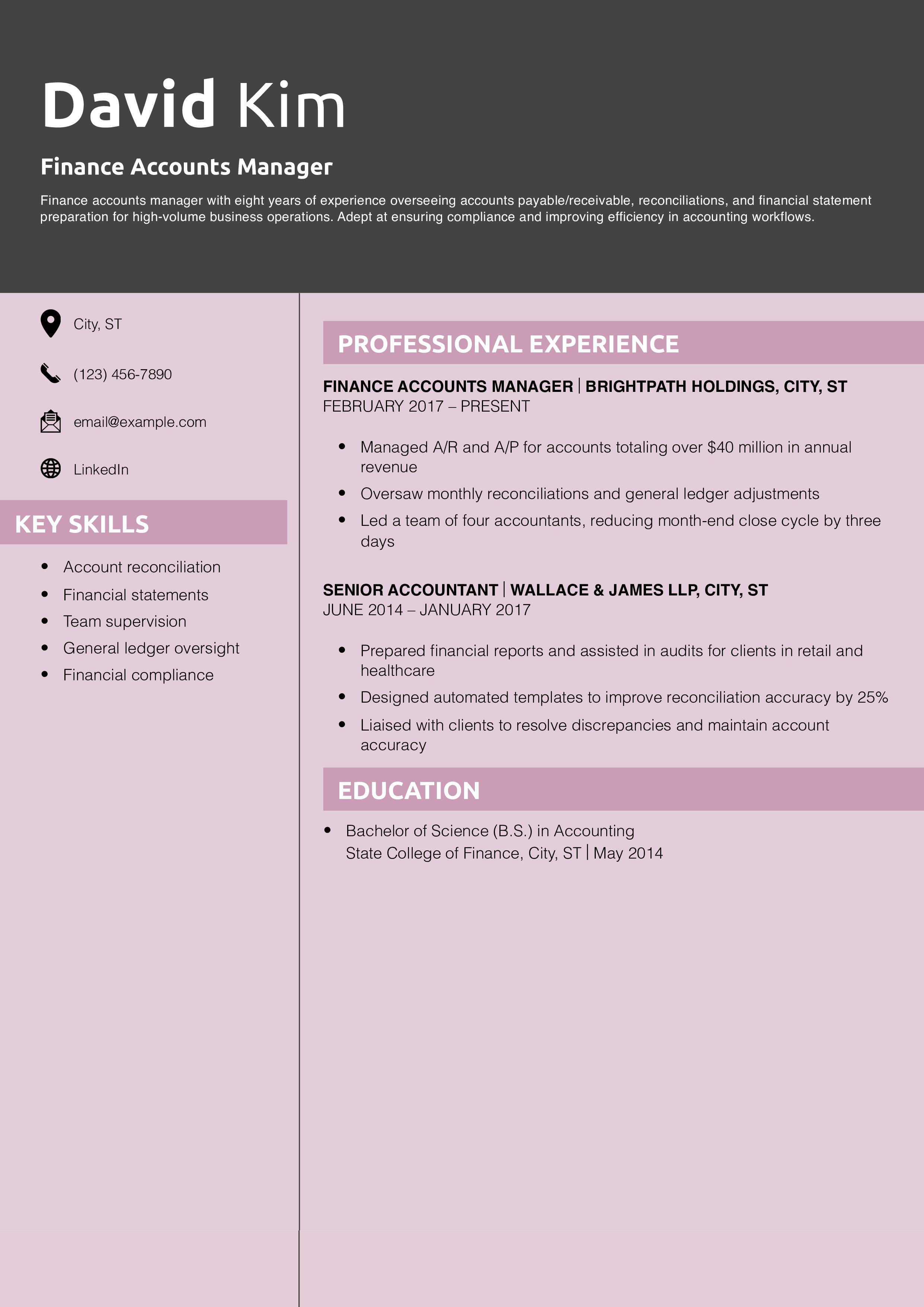 Finance Accounts Manager Resume Example