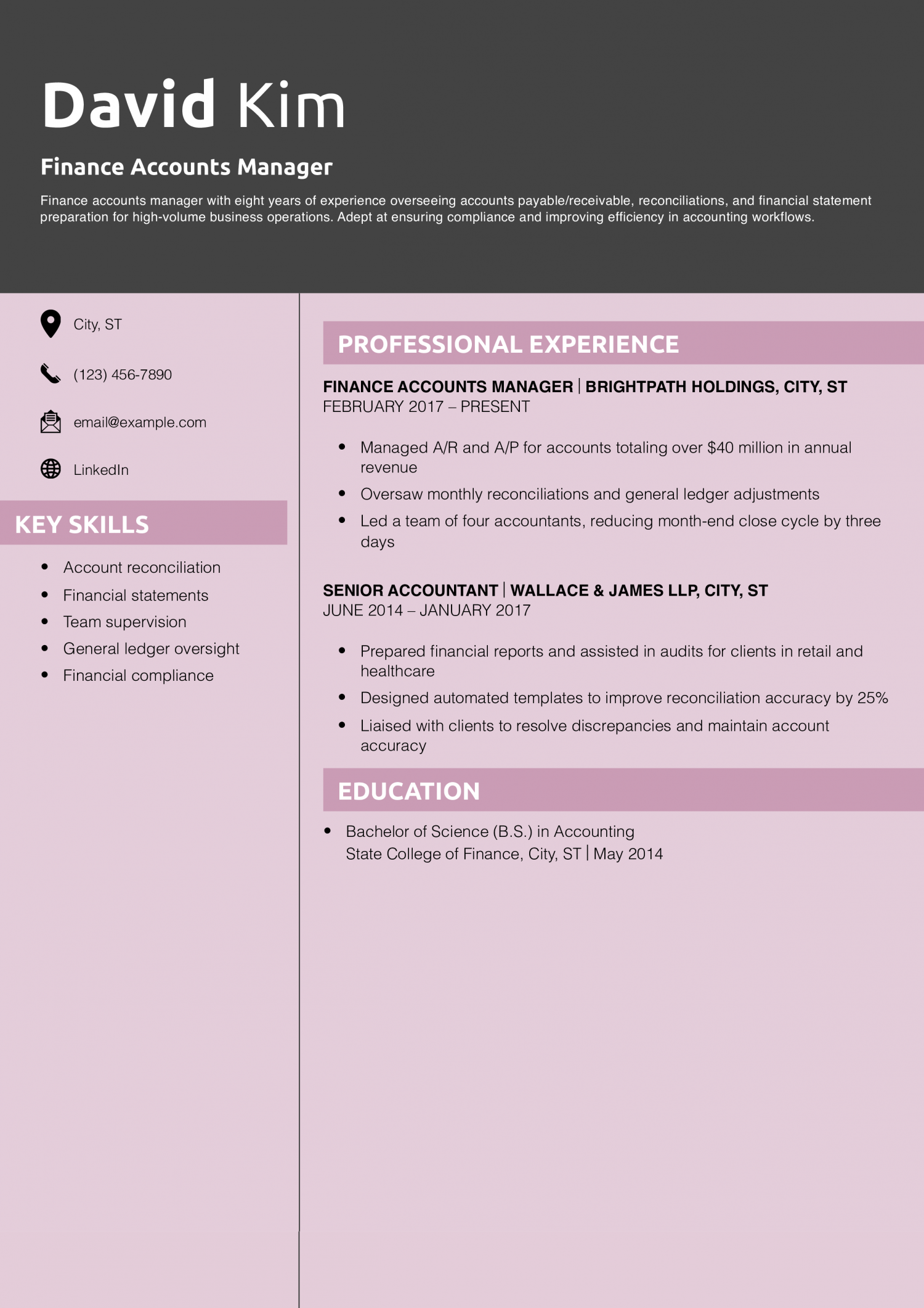 Finance Accounts Manager Resume Example
