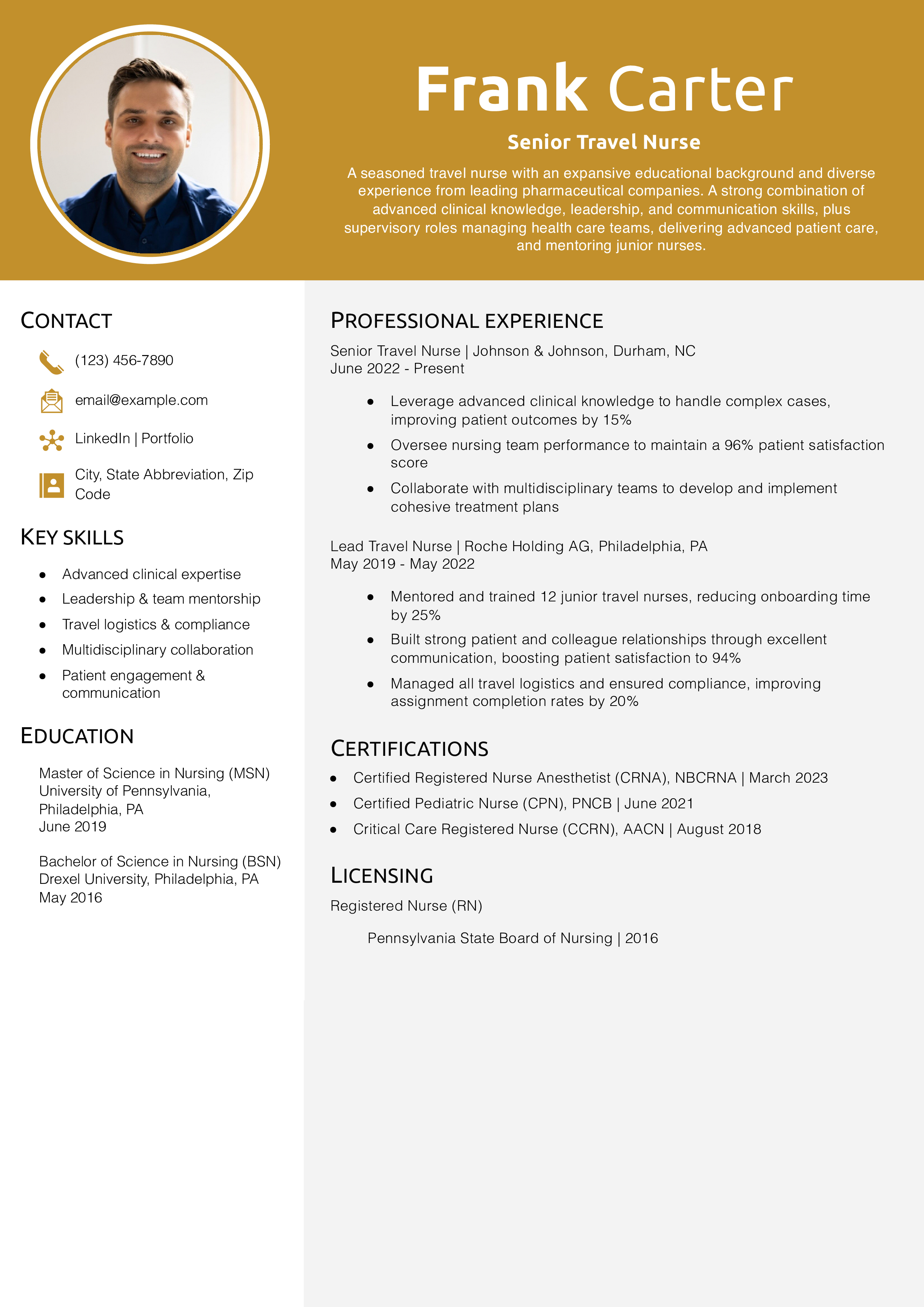 Senior Travel Nurse Resume Example