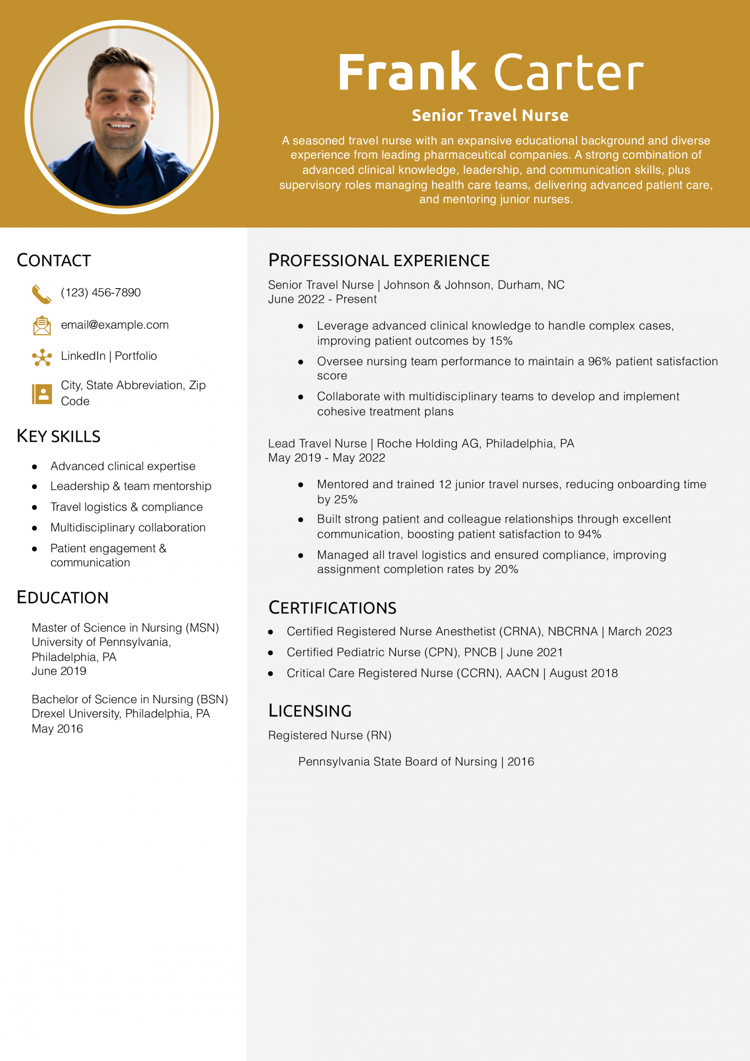 Senior Travel Nurse Resume Example
