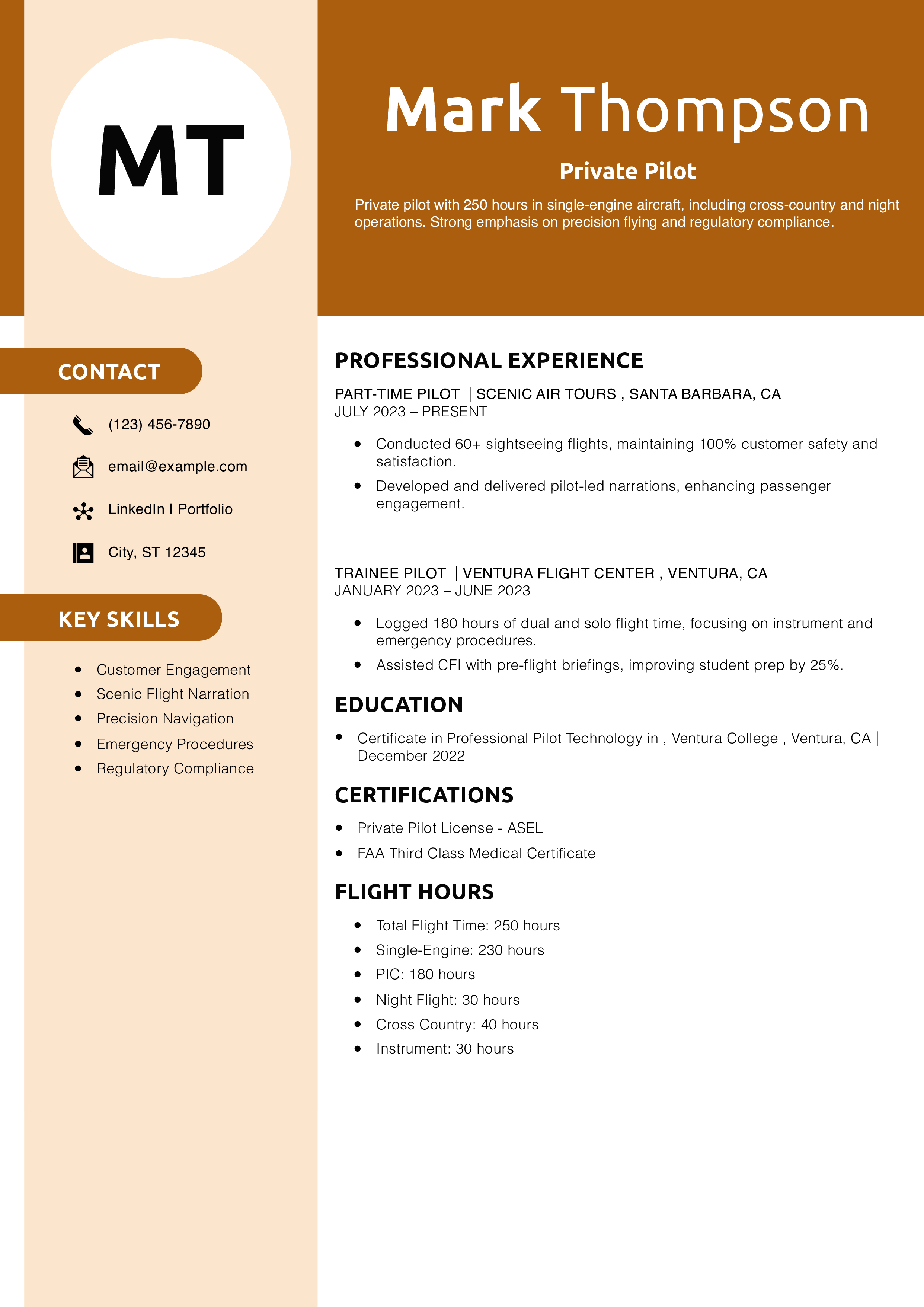 Private Pilot Resume Example