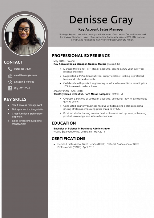 Key Account Sales Manager Resume Example