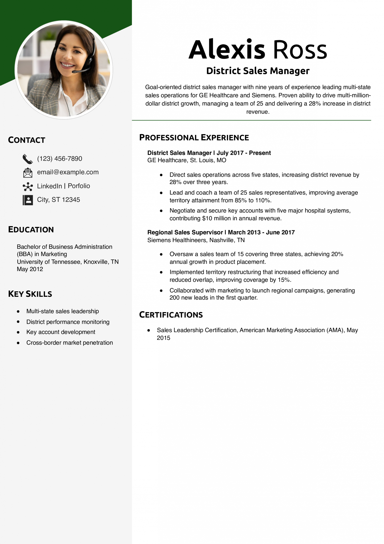 District Sales Manager Resume Example