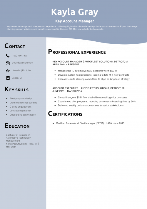 Key Account Manager Resume Example