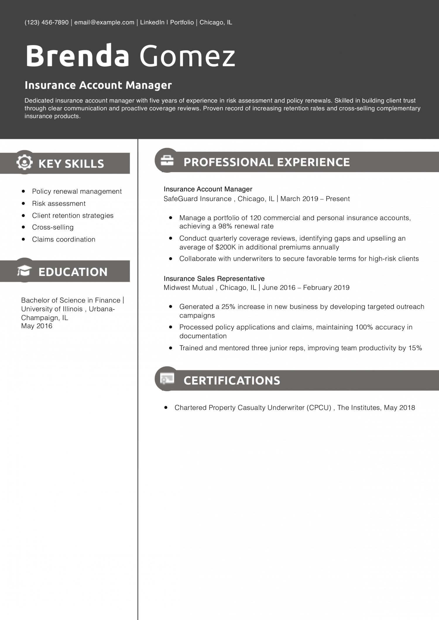 Insurance Account Manager Resume Example