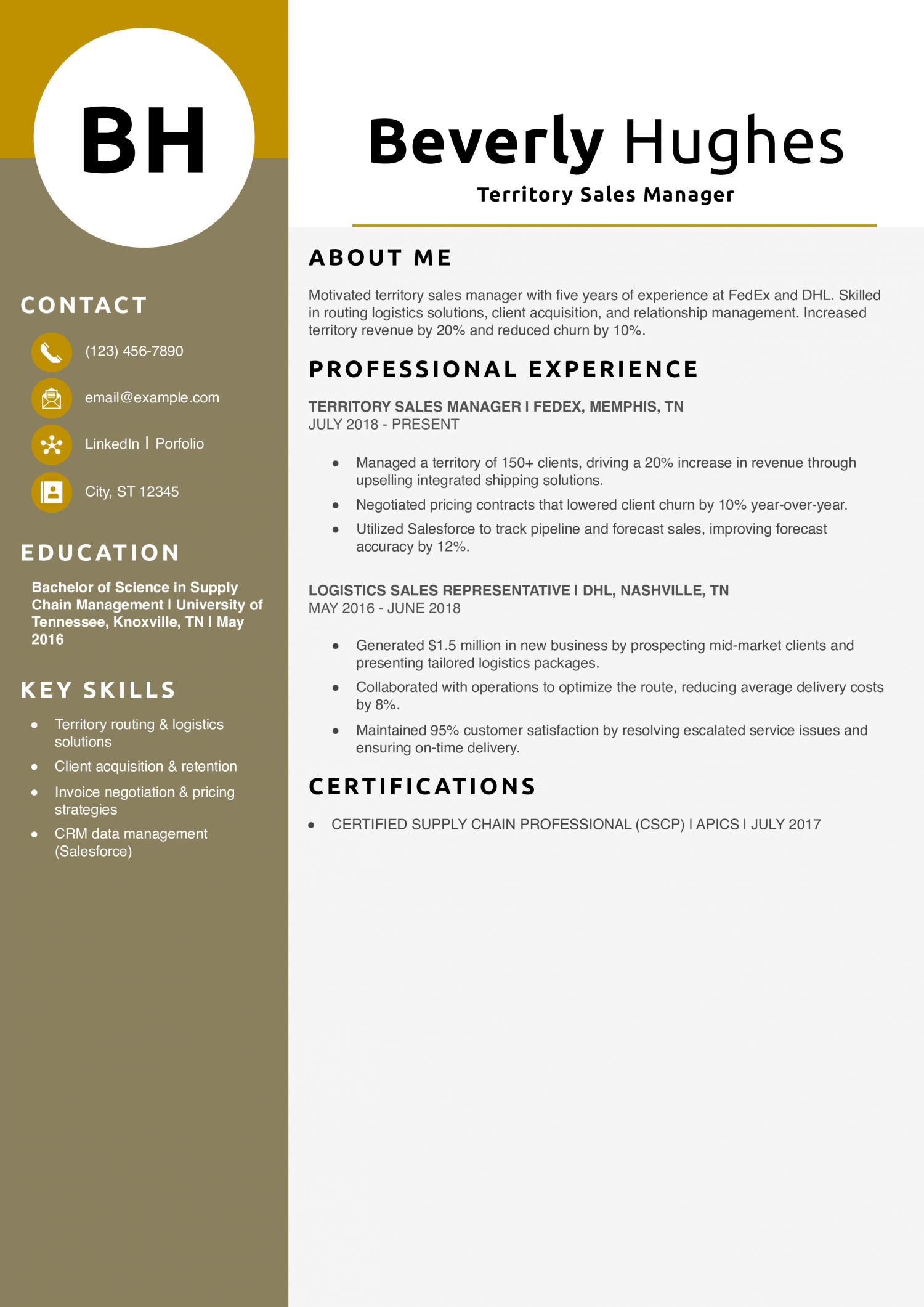 Territory Sales Manager Resume Example