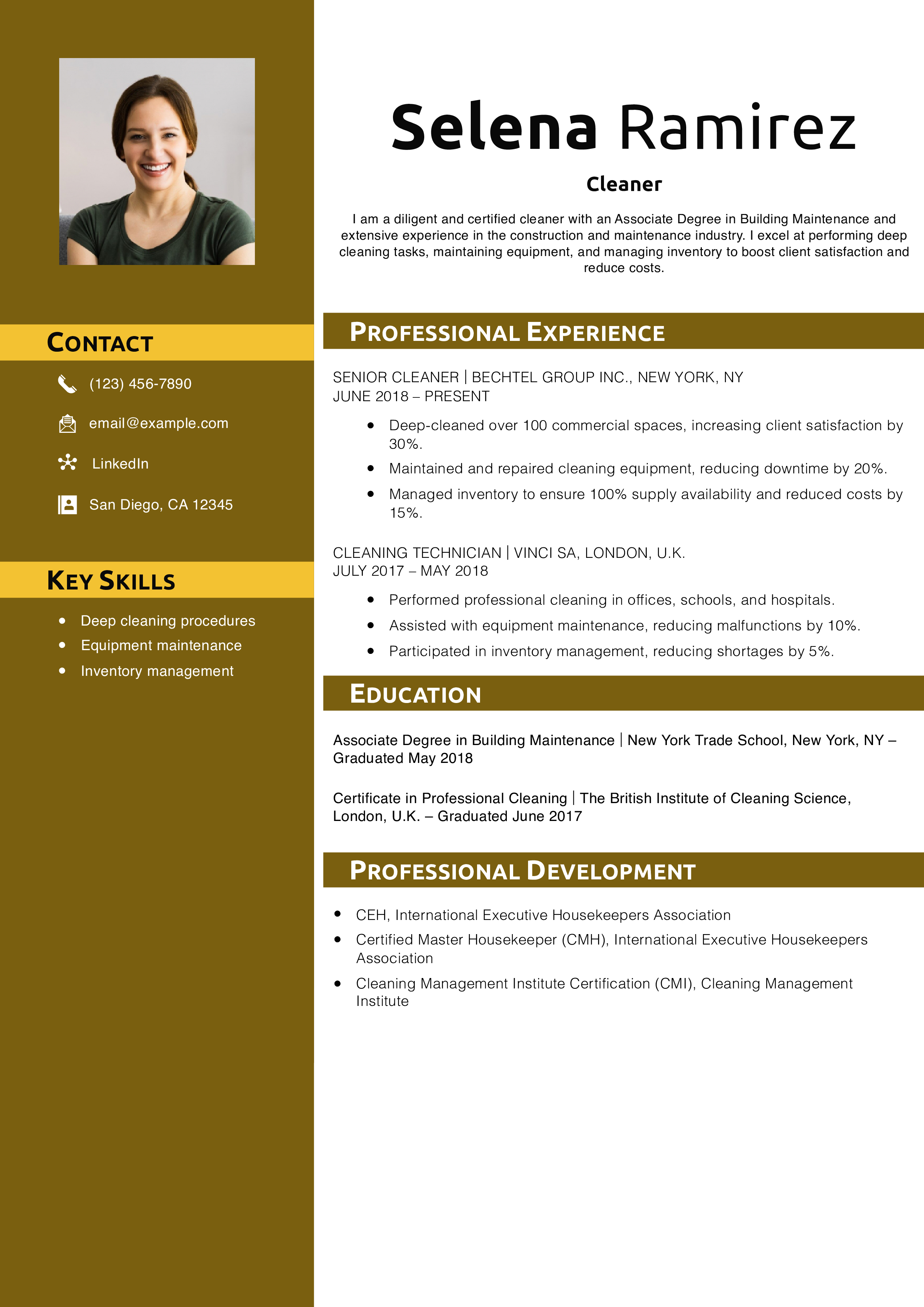 Cleaner Resume Example