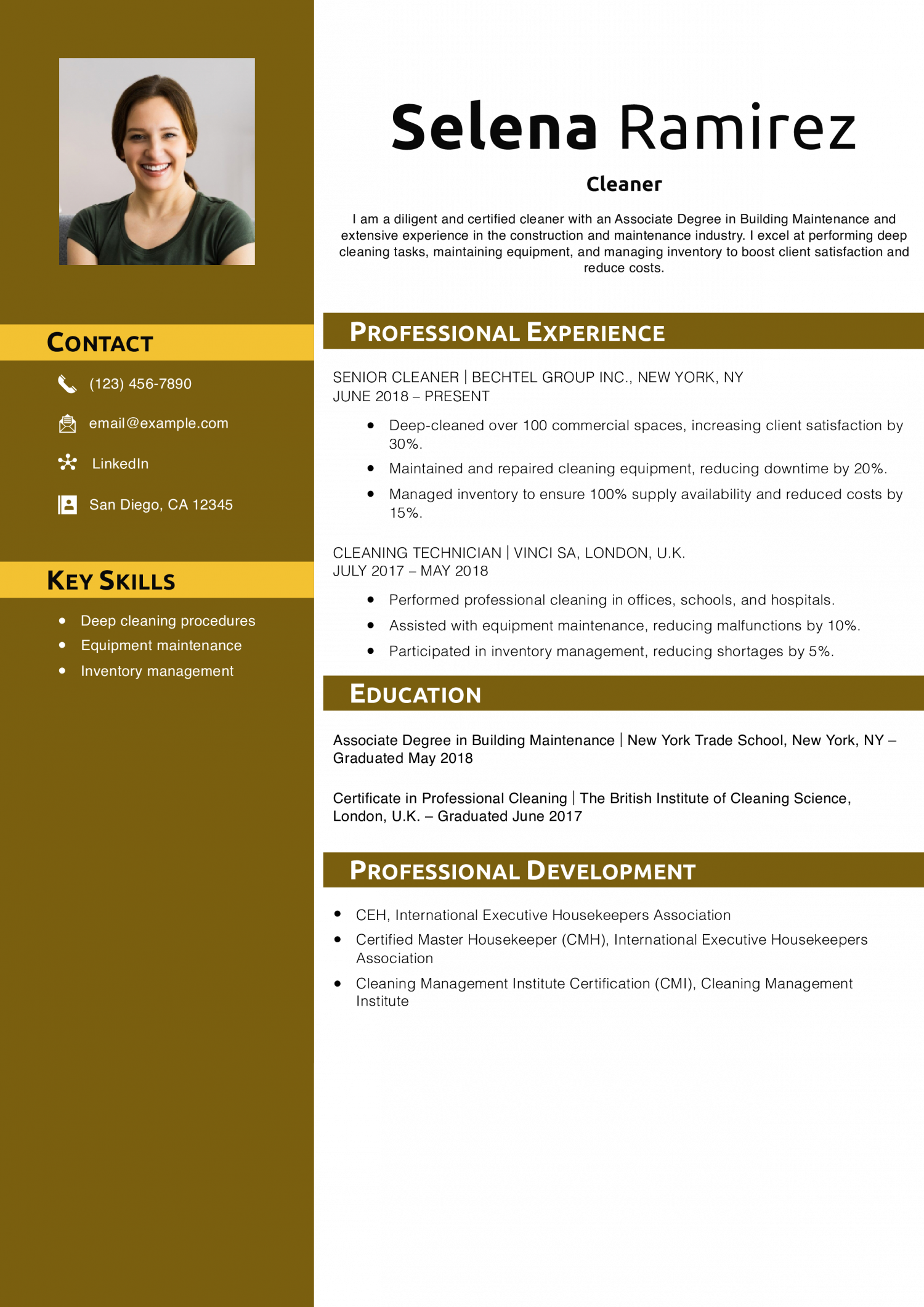 Cleaner Resume Example