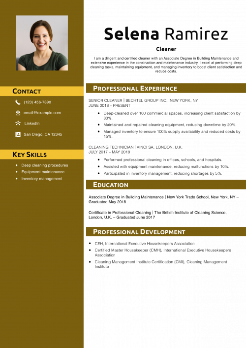 Cleaner Resume Example