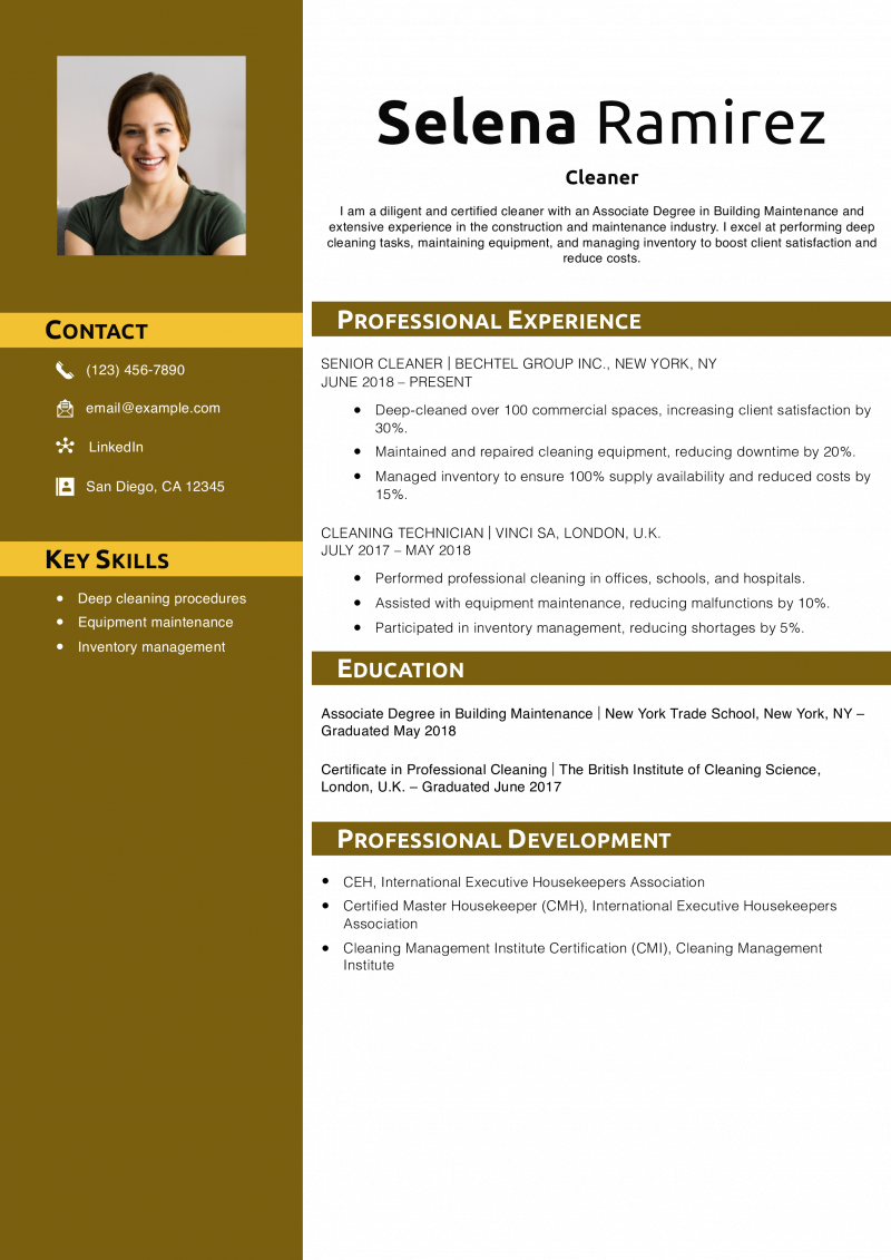 Cleaner Resume Example