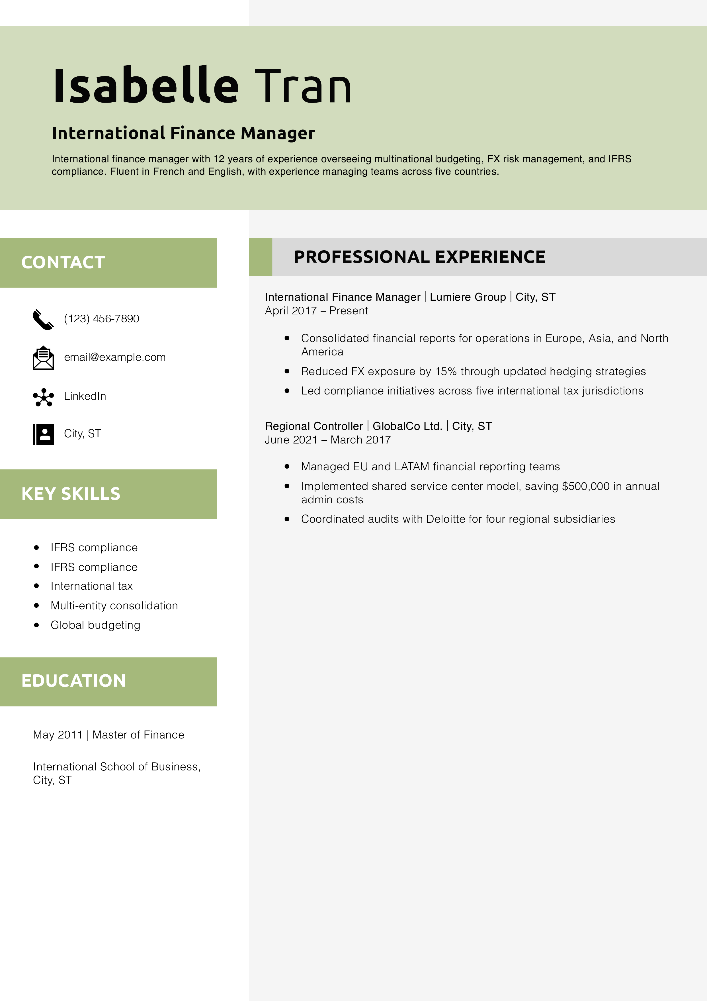 International Finance Manager Resume Example