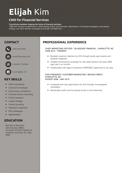 CMO for Financial Services Resume 