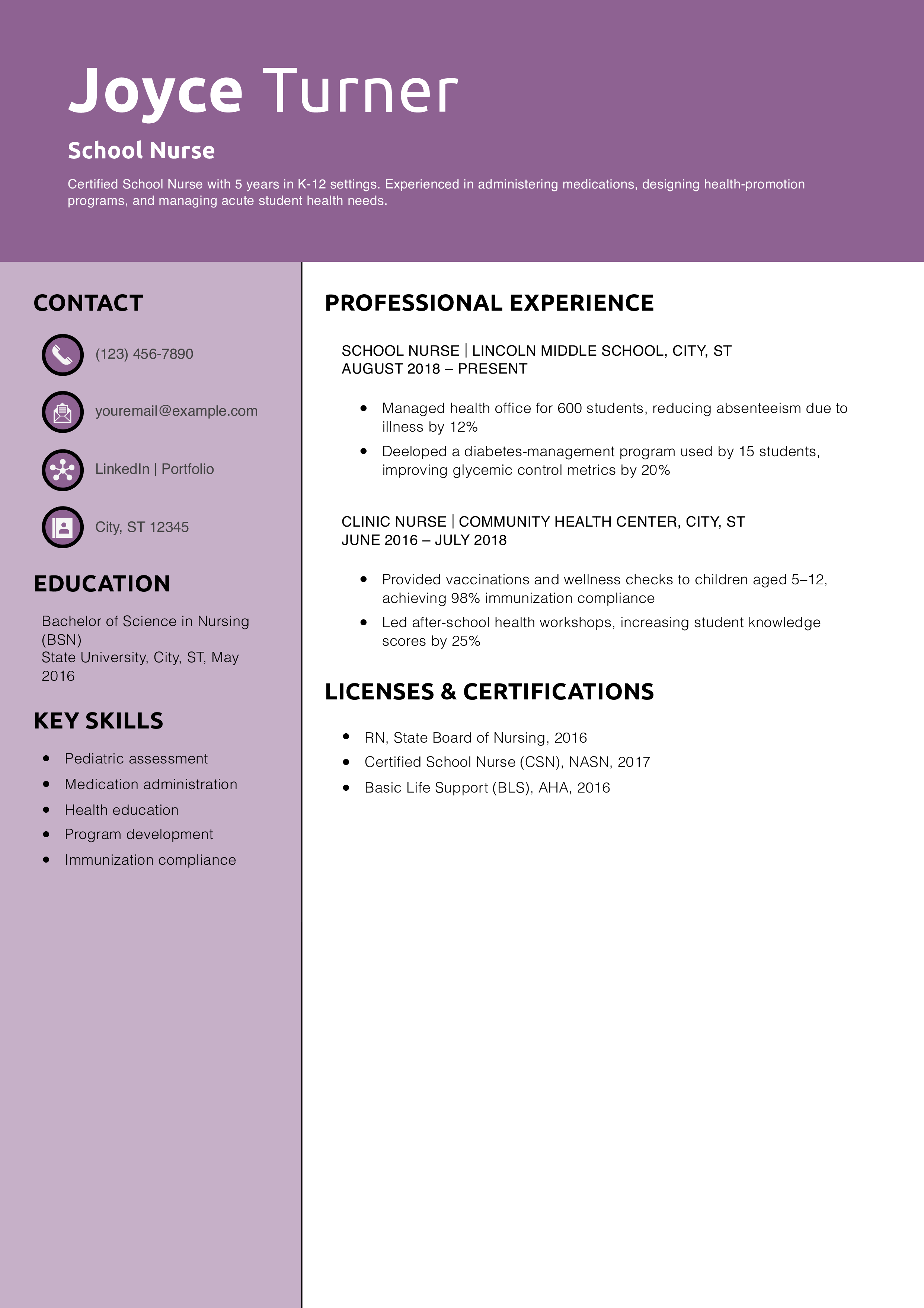 School Nurse Resume Example