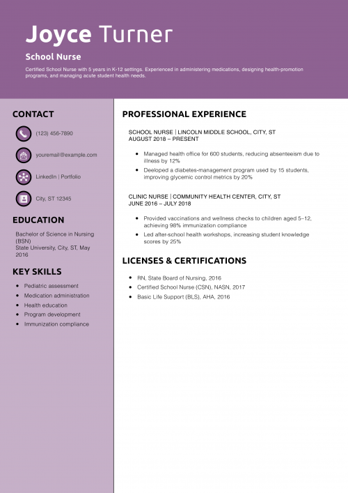School Nurse Resume Example