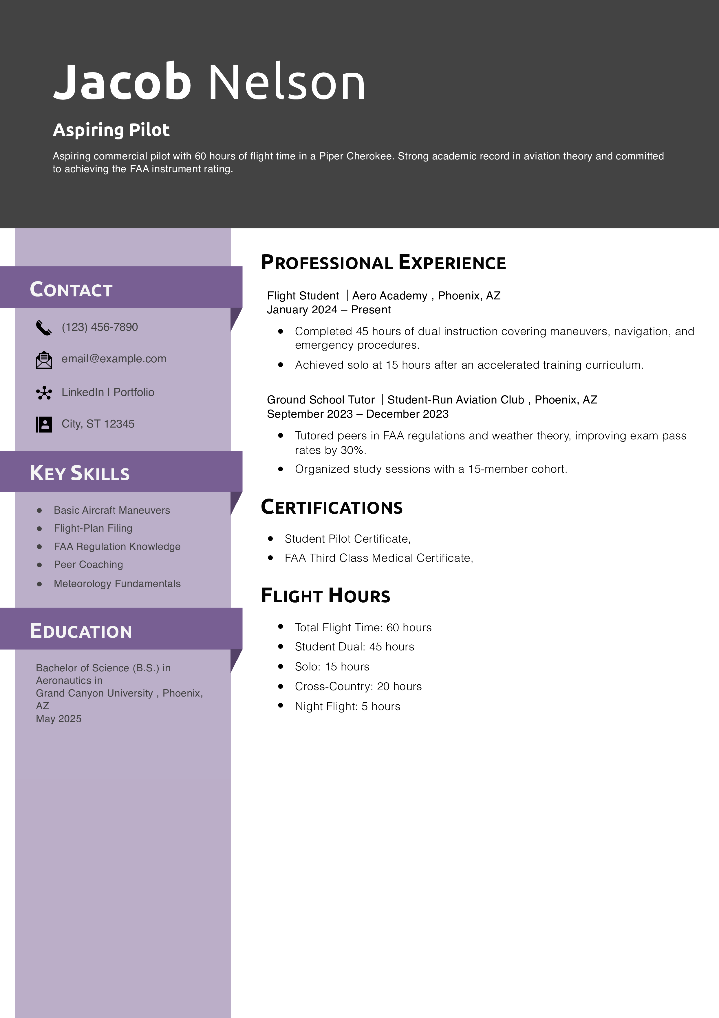 Aspiring Pilot Resume Example 