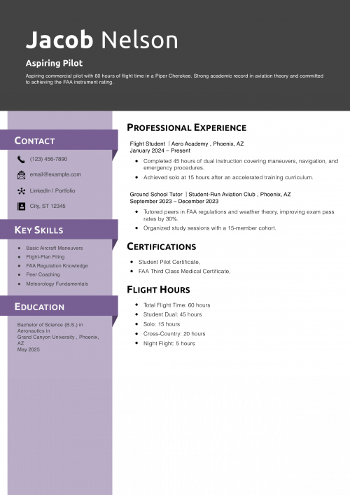 Aspiring Pilot Resume Example 