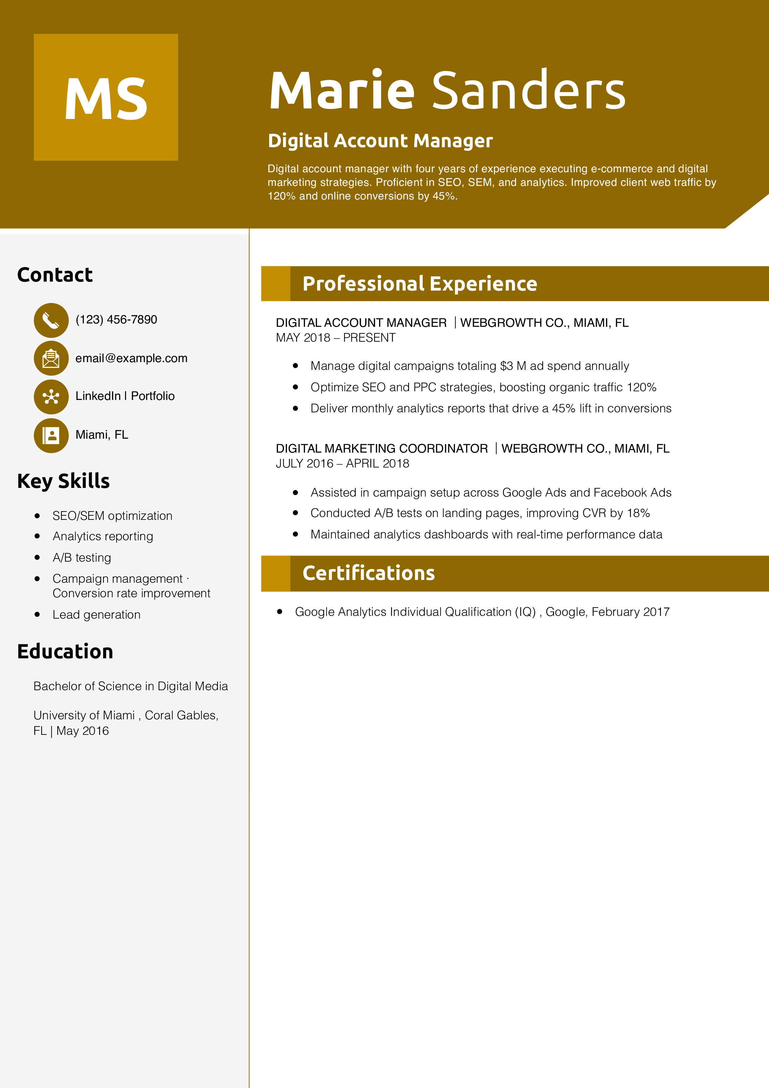 Digital Account Manager Resume Example