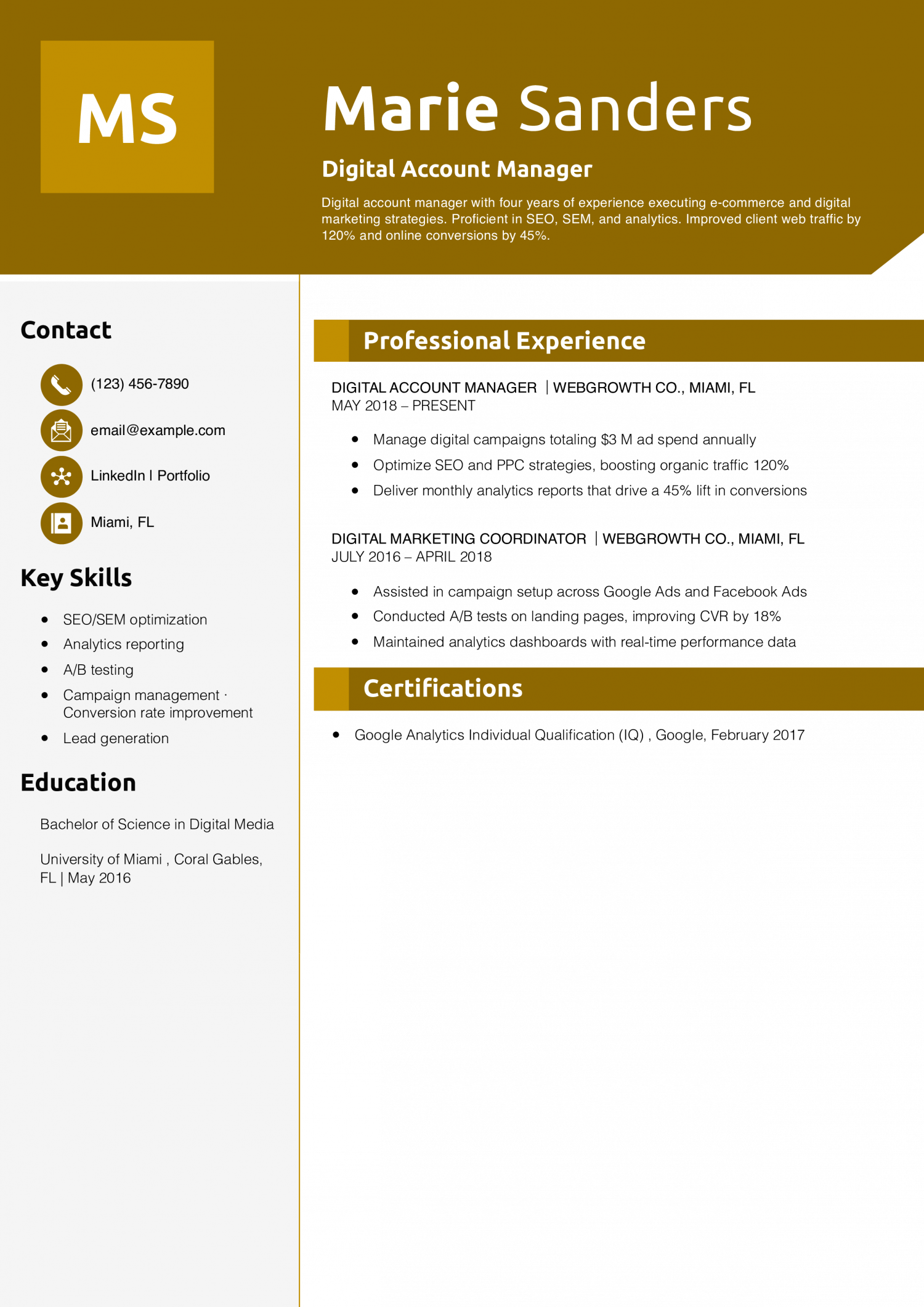 Digital Account Manager Resume Example