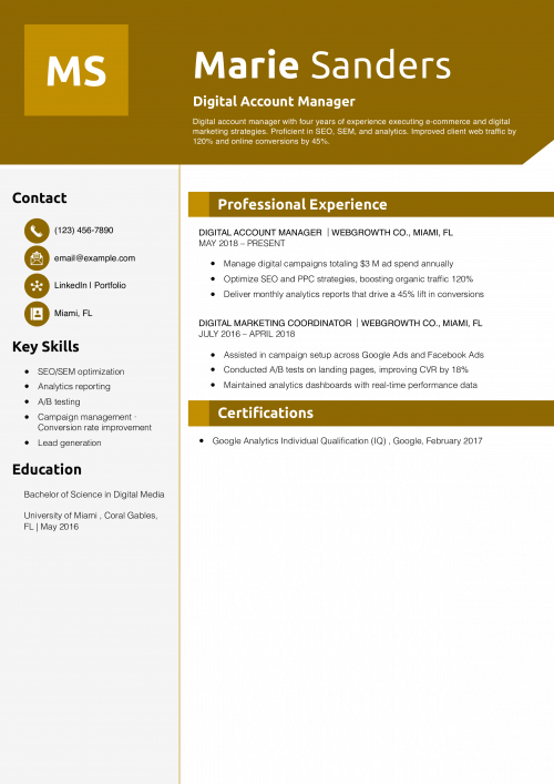 Digital Account Manager Resume Example