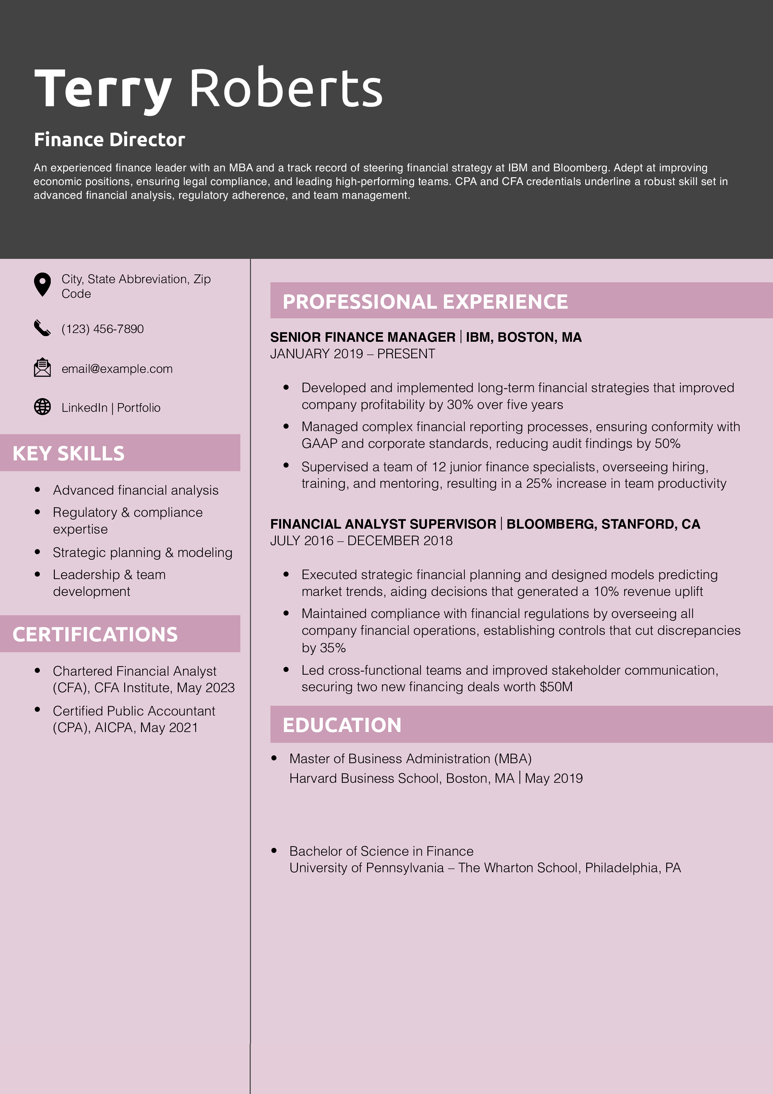 Finance Director Resume Example