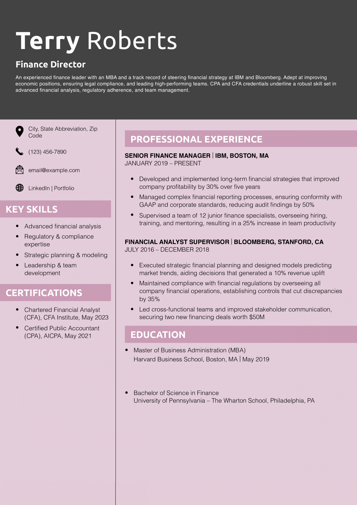 Finance Director Resume Example