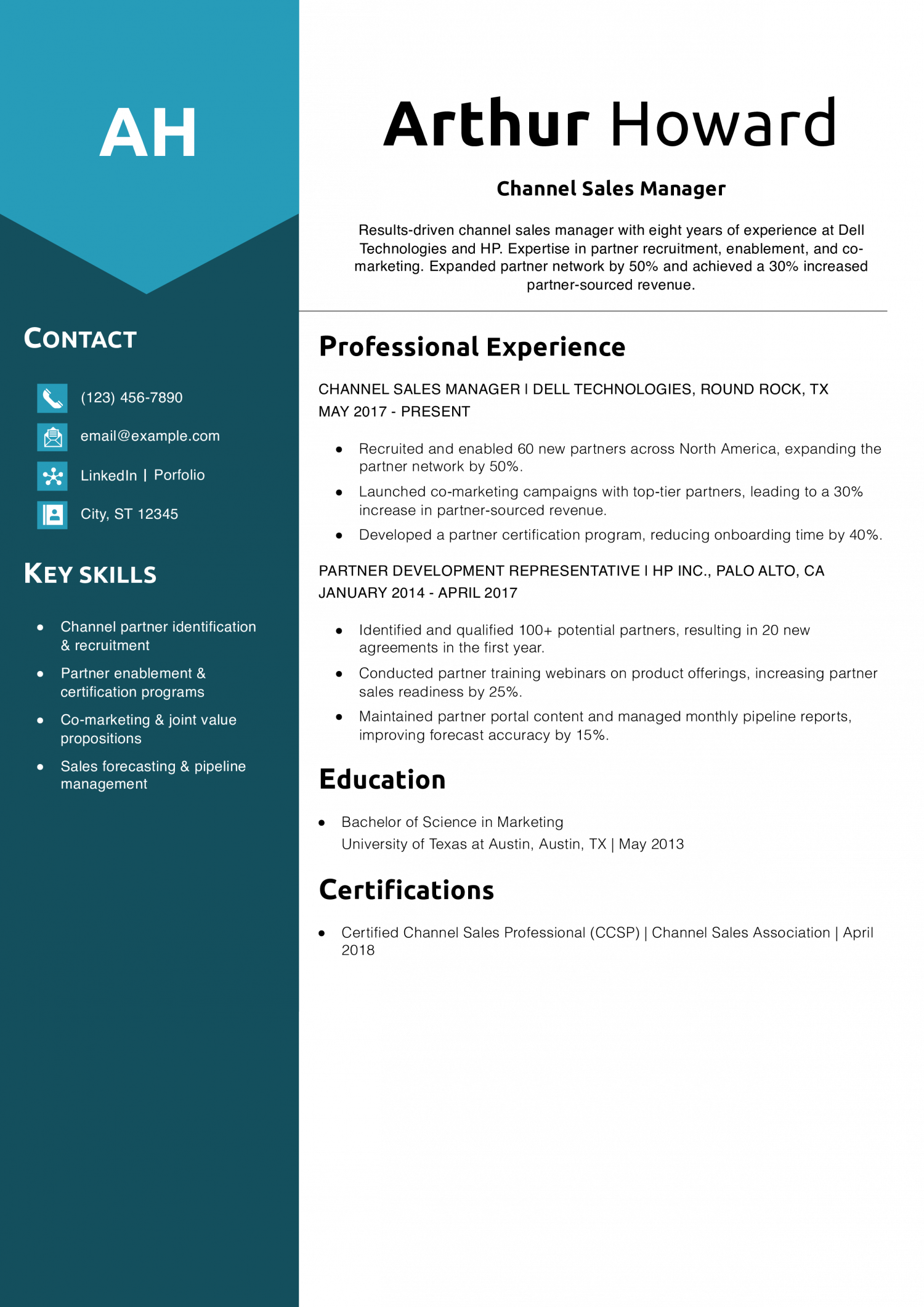Channel Sales Manager Resume Example