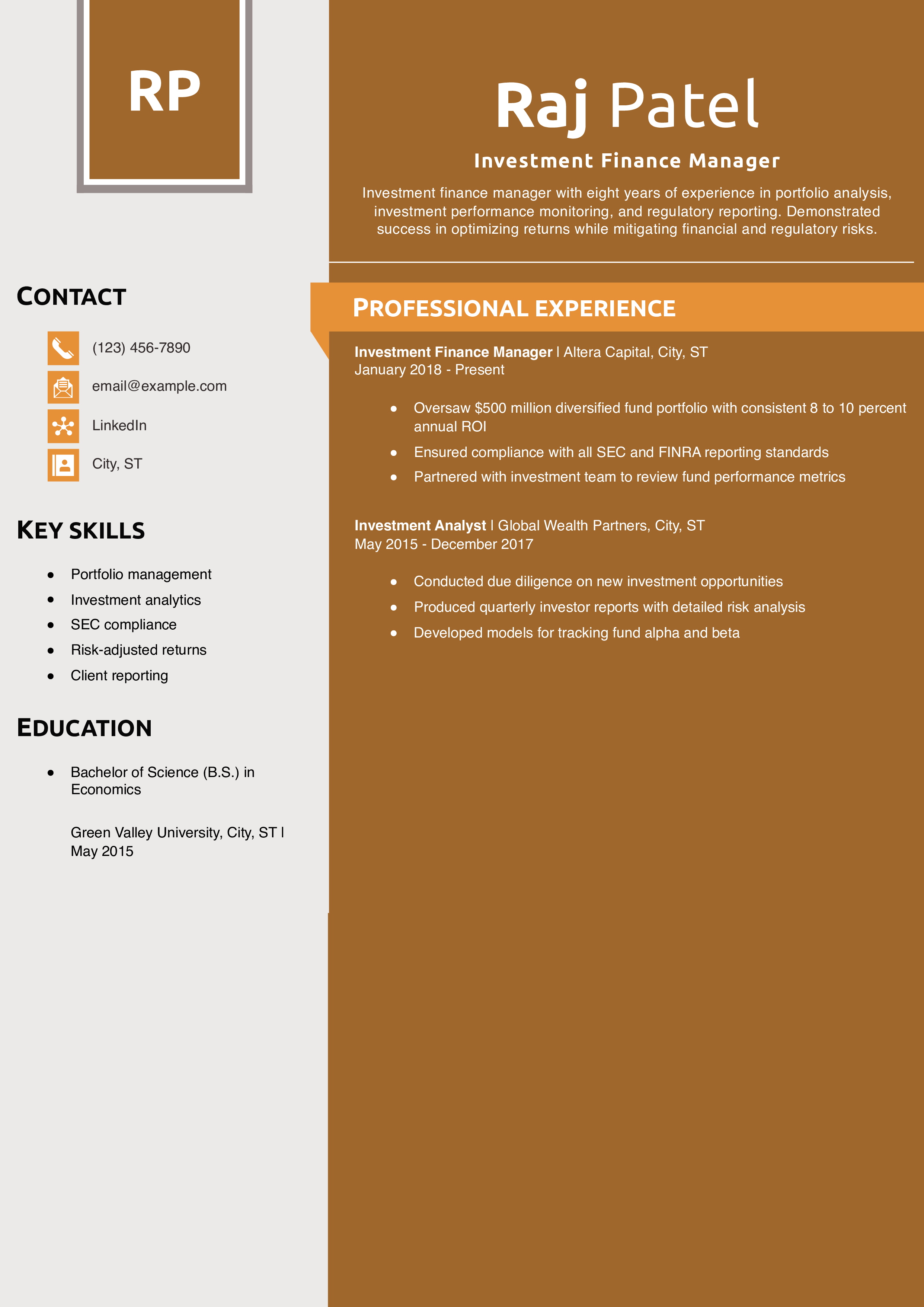 Investment Finance Manager Resume Example