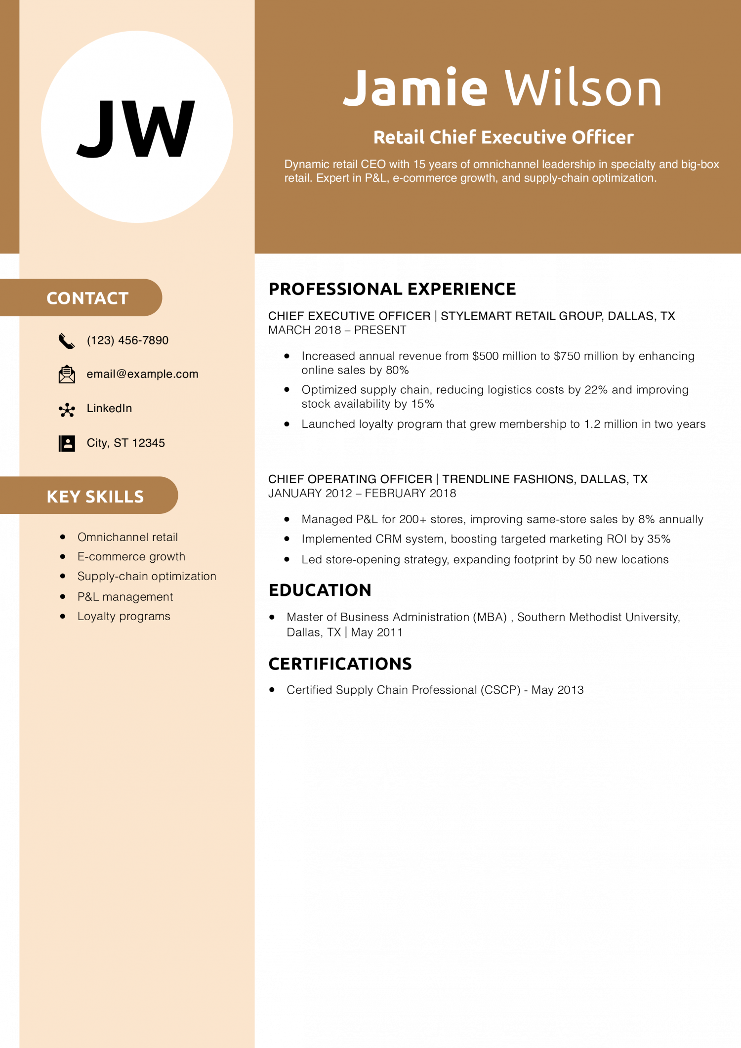 Retail Chief Executive Officer Resume Example