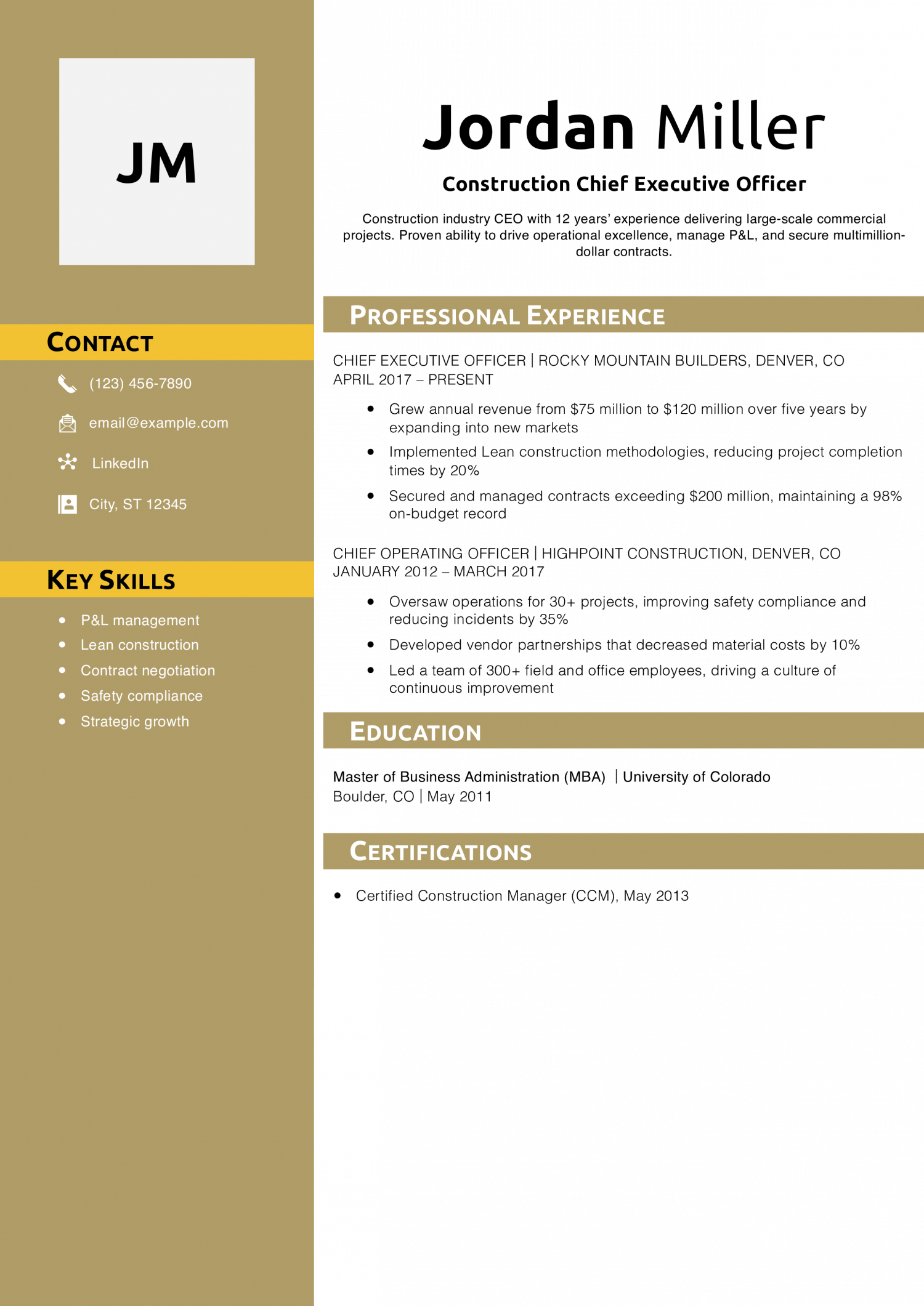 Construction Chief Executive Officer Resume Example