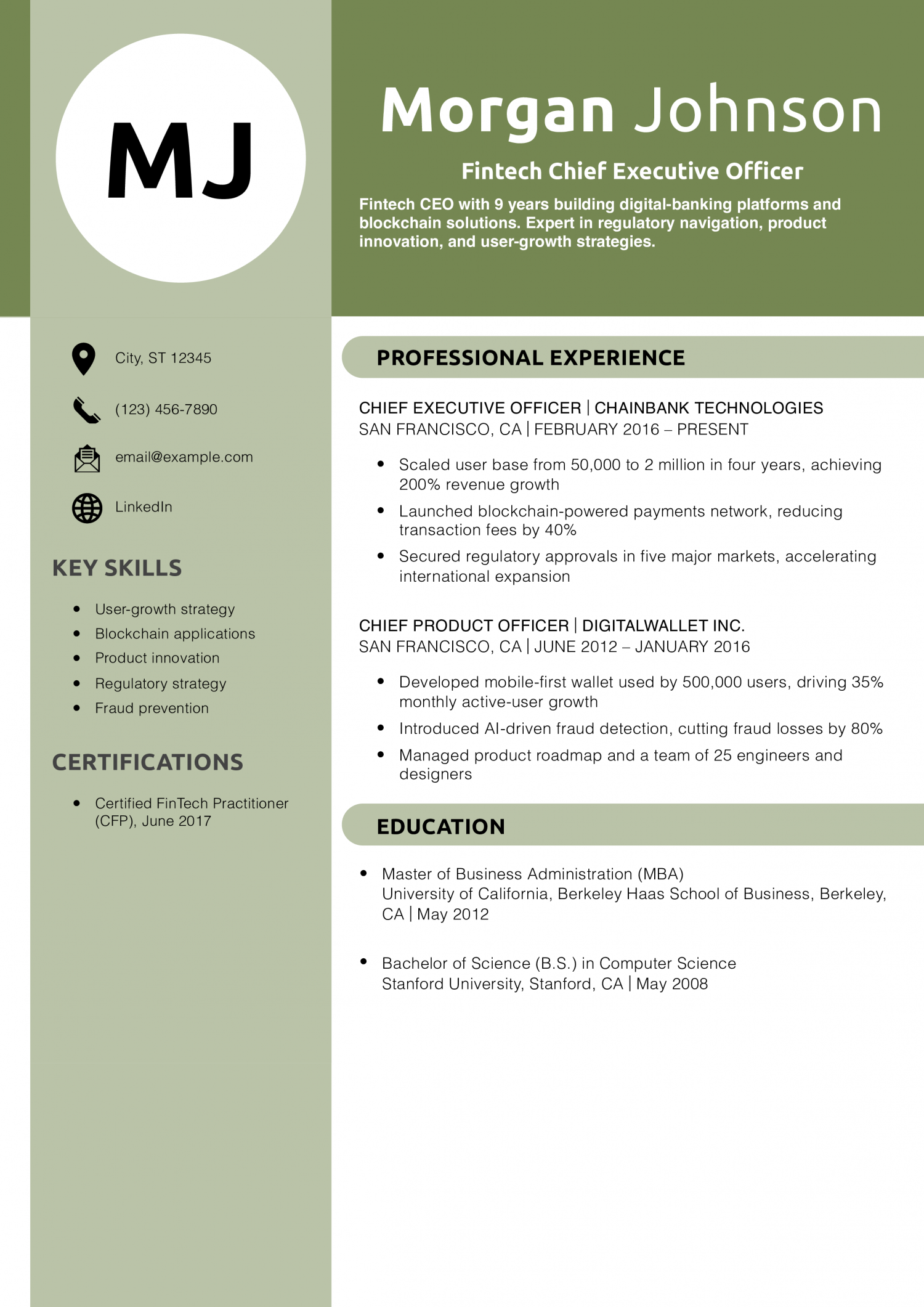 Fintech Chief Executive Officer Resume Example