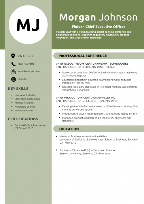 Fintech Chief Executive Officer Resume Example