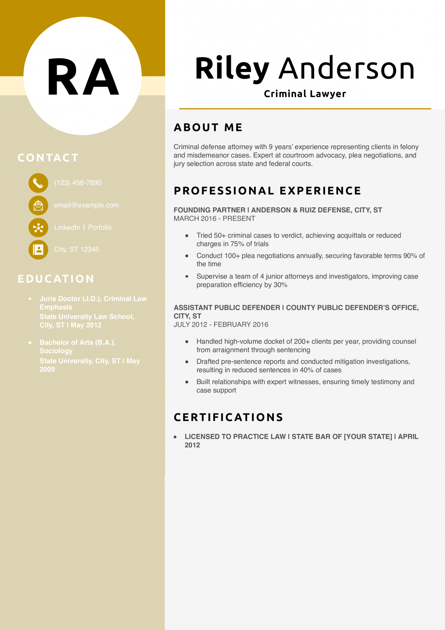 Criminal Lawyer Resume Example