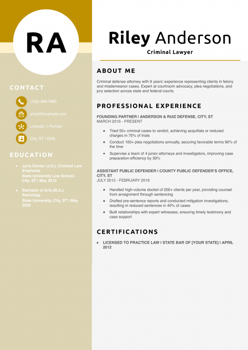 Criminal Lawyer Resume Example