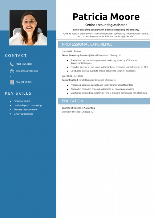 Senior accounting assistant resume example