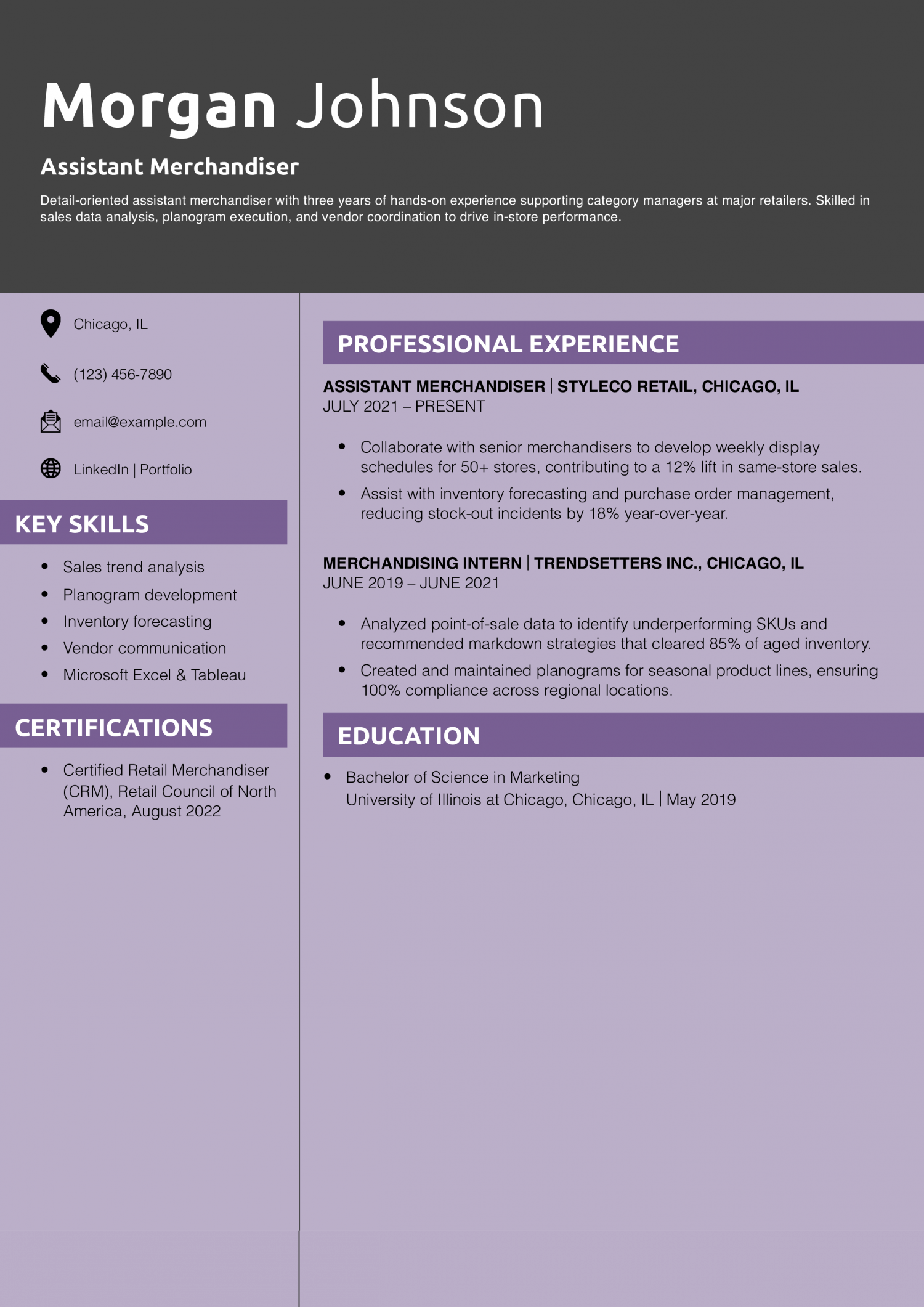 Assistant Merchandiser Resume Example