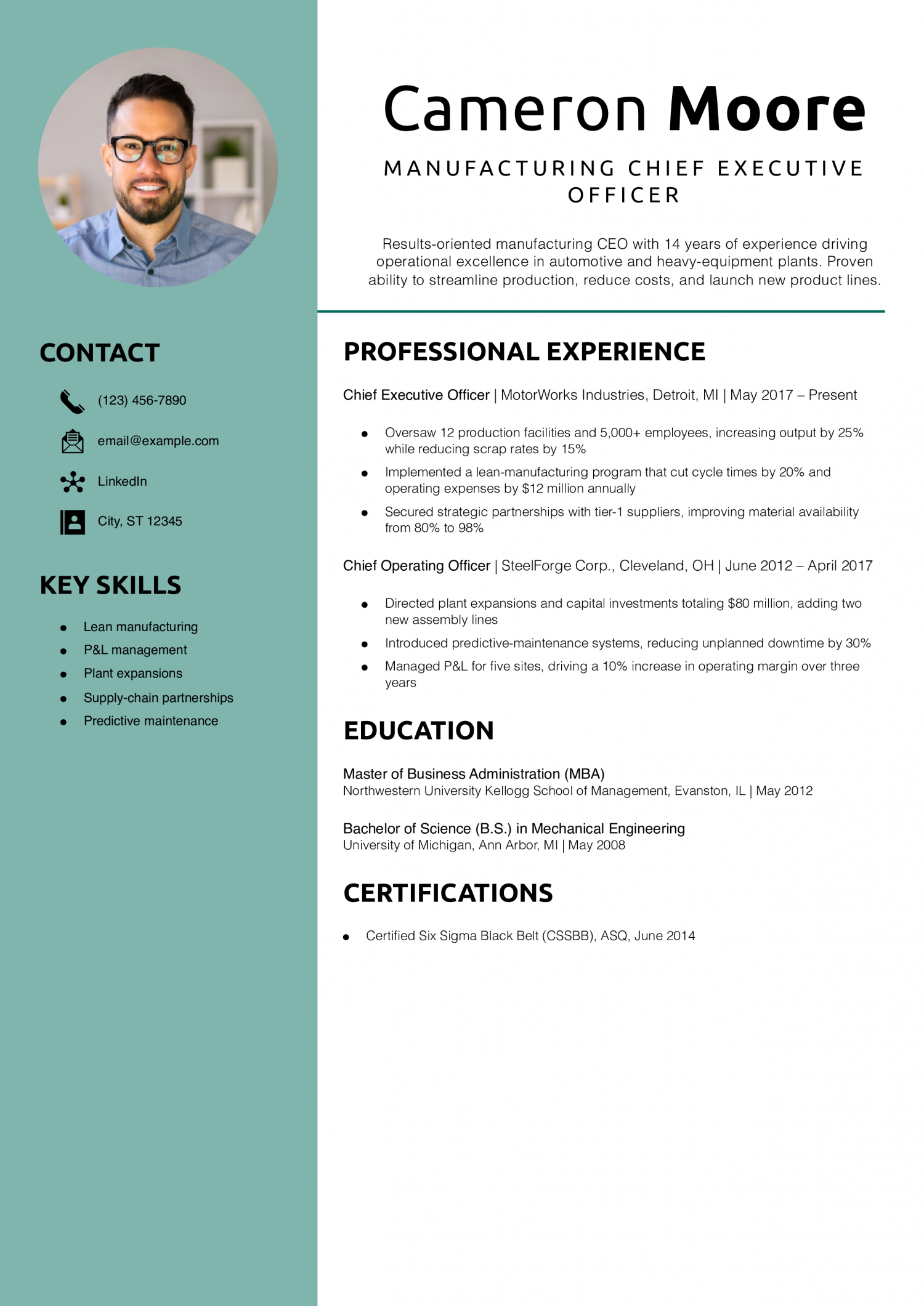 Manufacturing Chief Executive Officer Resume Example