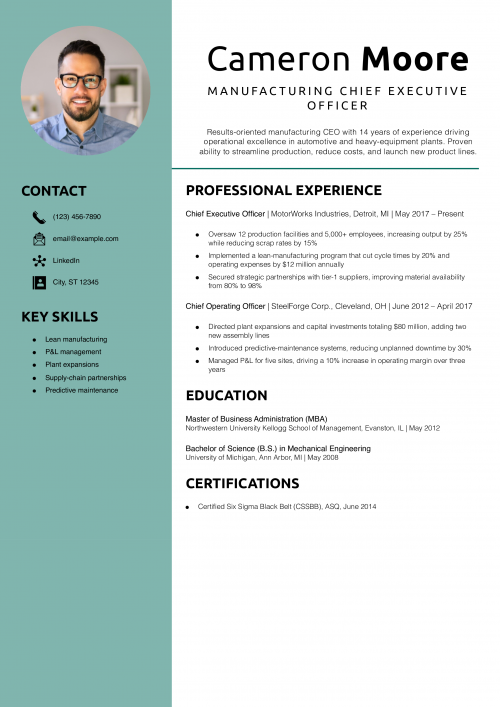 Manufacturing Chief Executive Officer Resume Example
