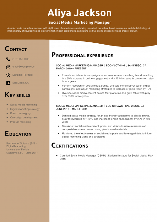 Social Media Marketing Manager Resume Example  